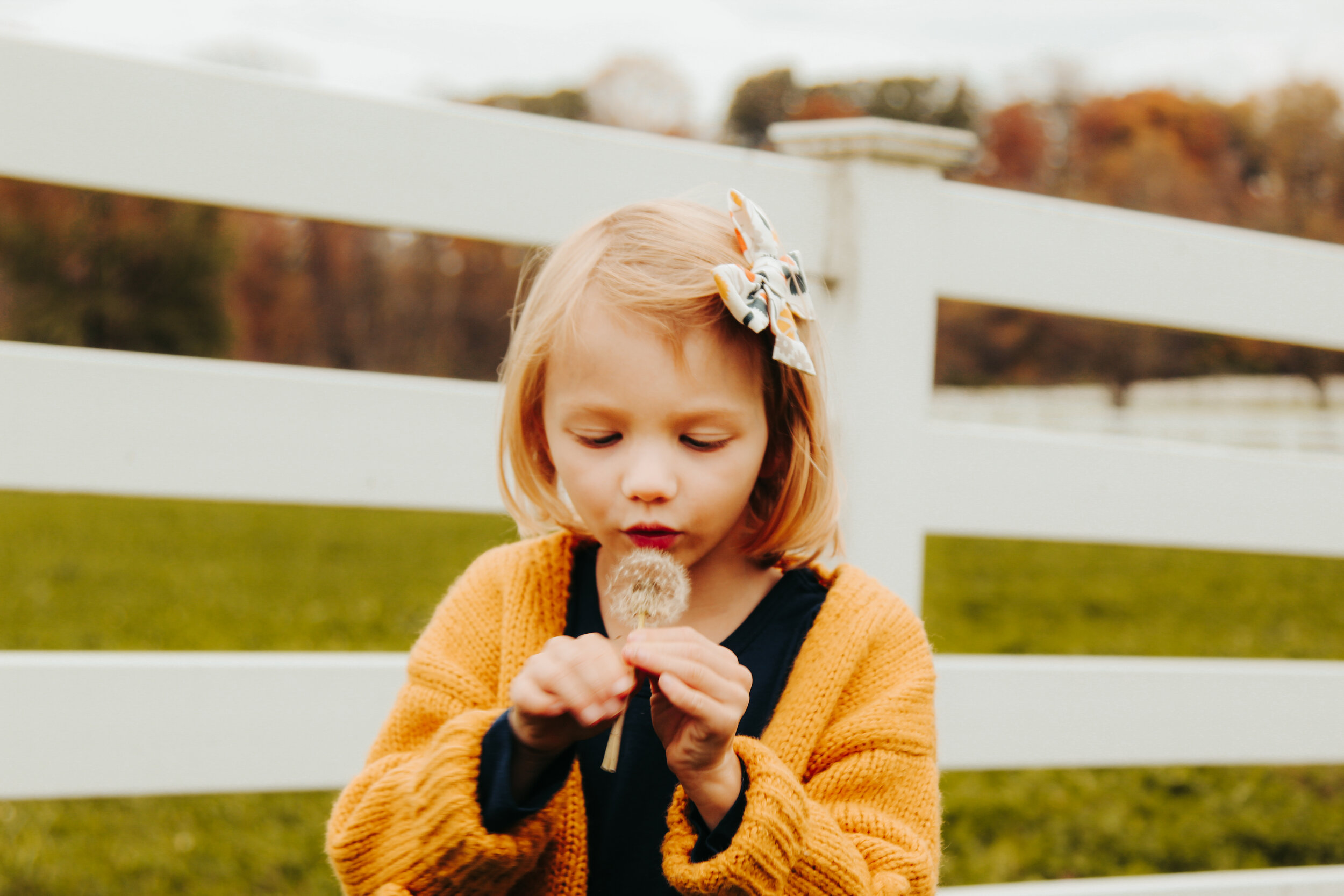 The Van Meter Family