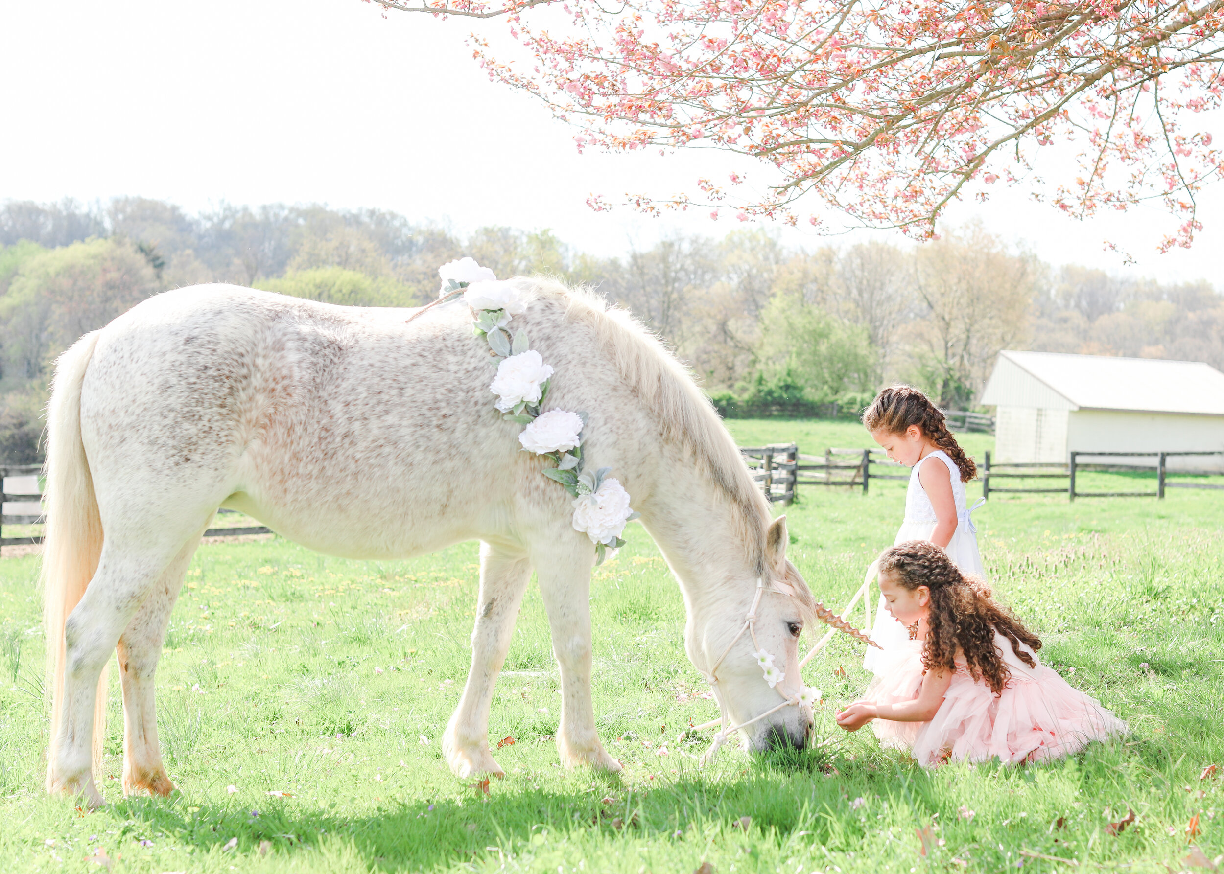 Unicorn Session