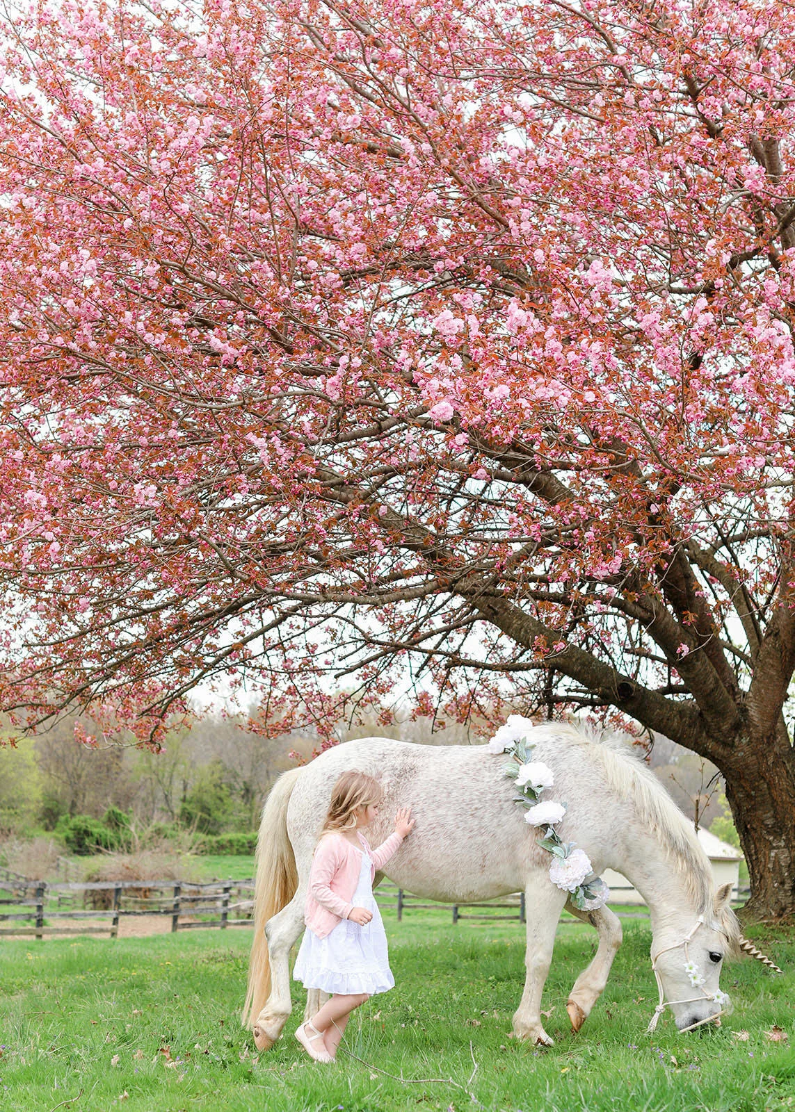Unicorn Session 