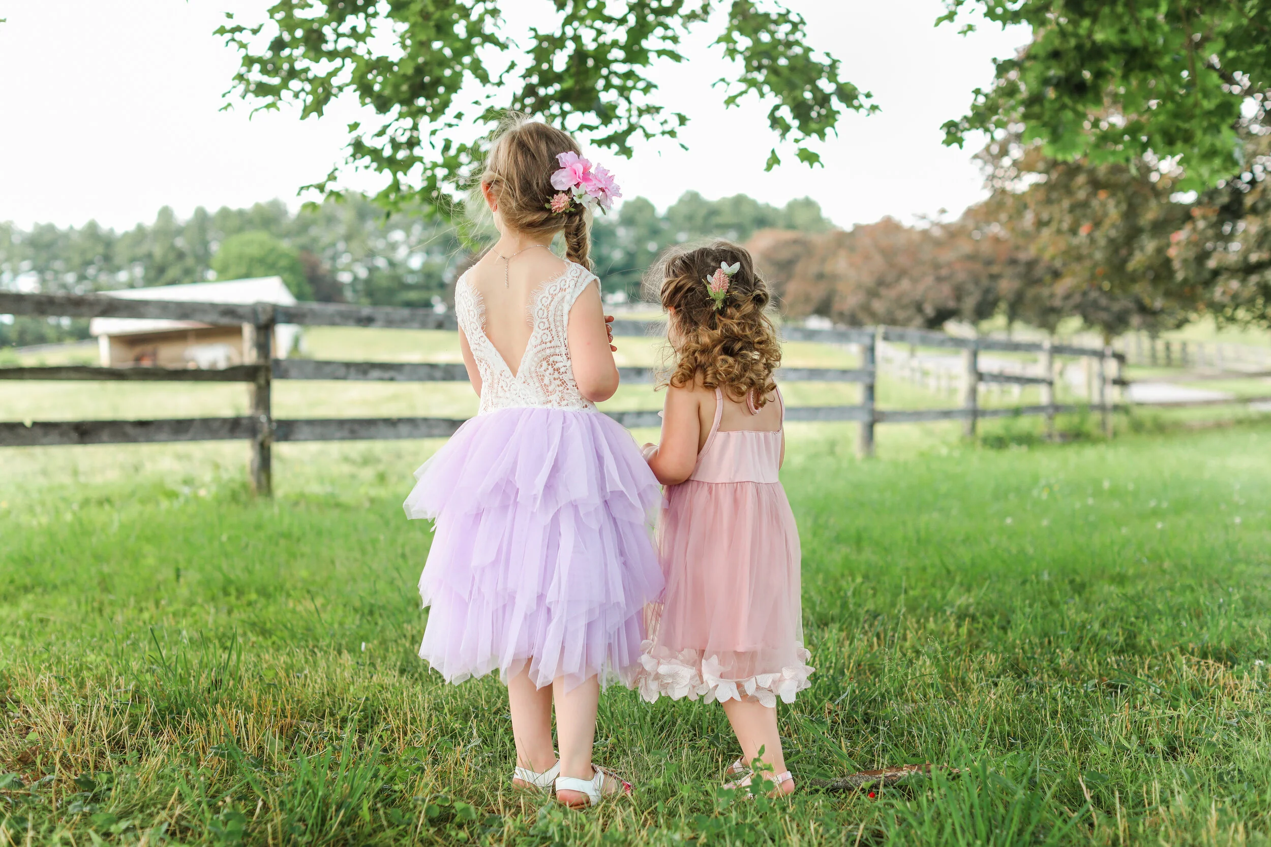 Haley + Gentry