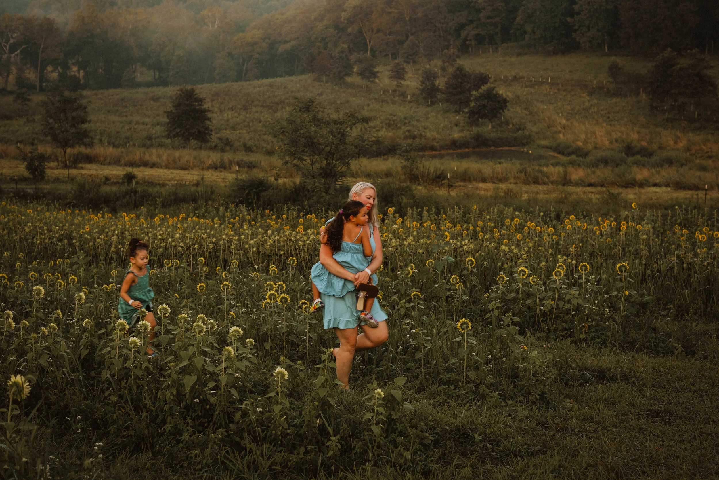 Sunflower Family Photography