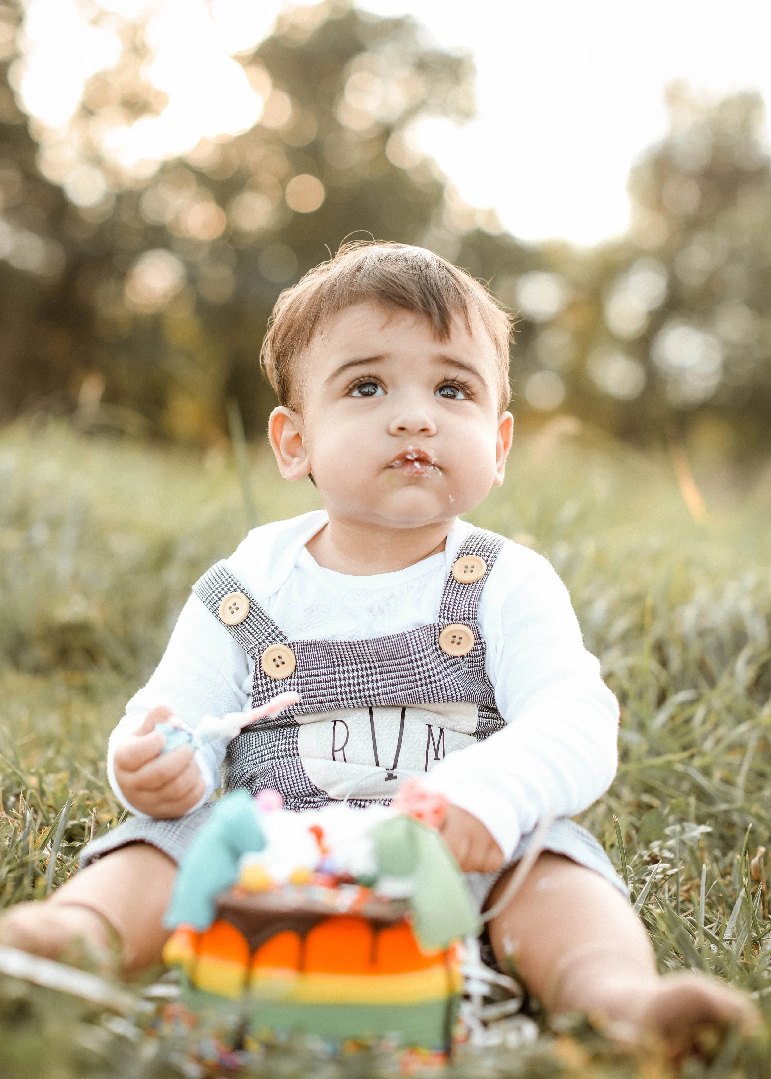 First Birthday Smash Cake Photography