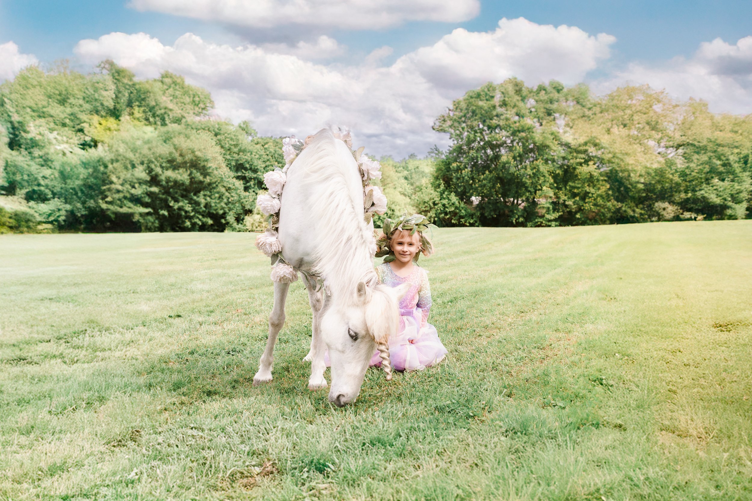 Ellicott City Photographer