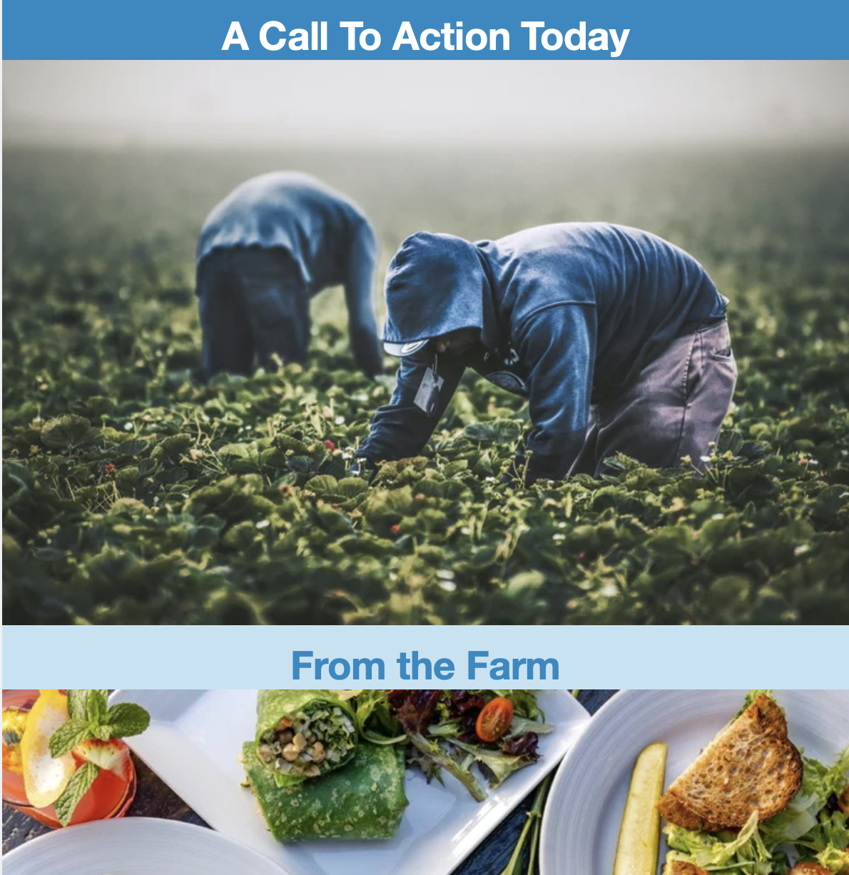 Are You Celebrating With Family Today? Enjoying Farm Fresh Produce?