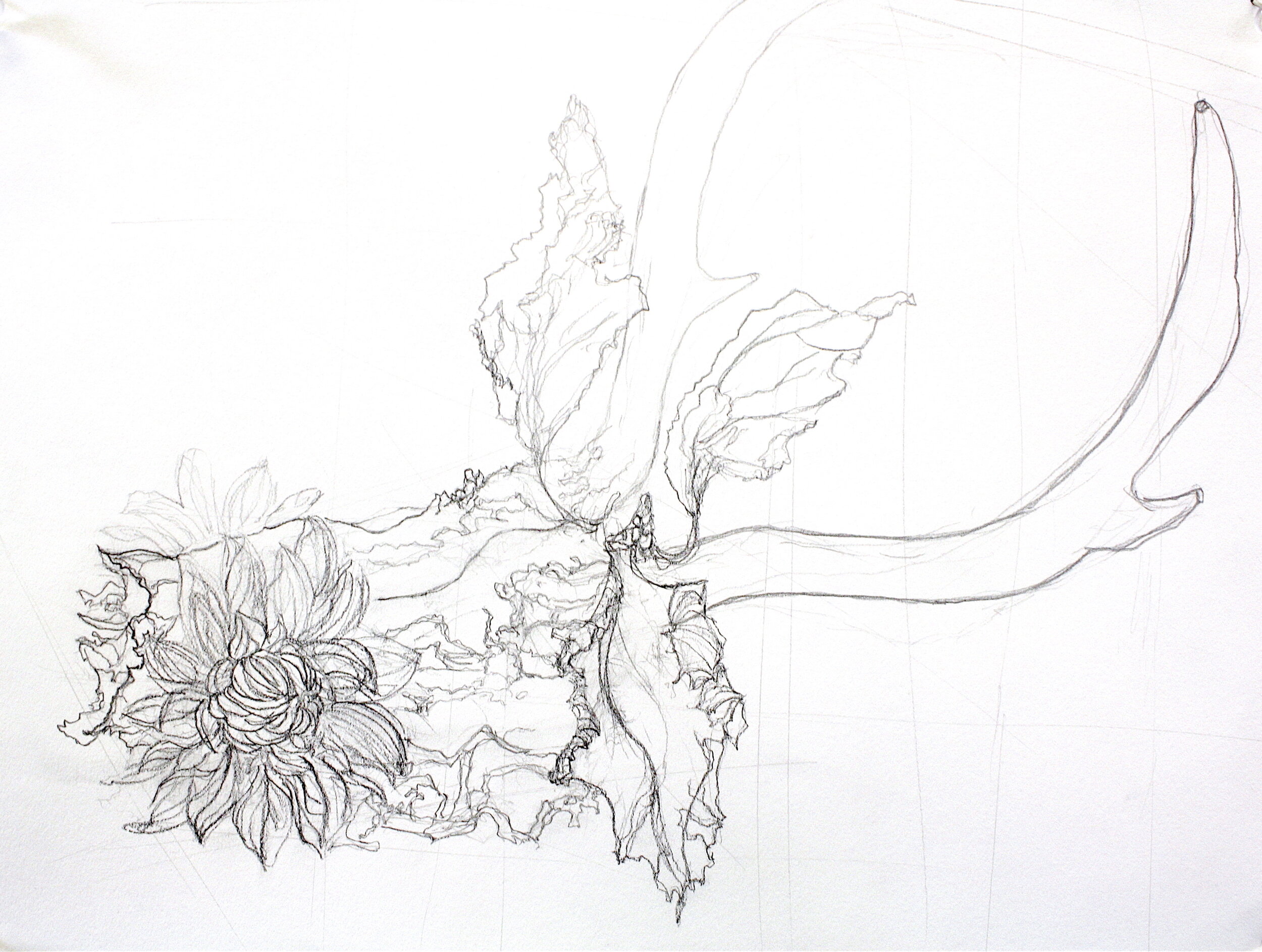 Still-Life (1), 2016, Completed for Drawing Nature Course, graphite on paper, 24 x 18 inches