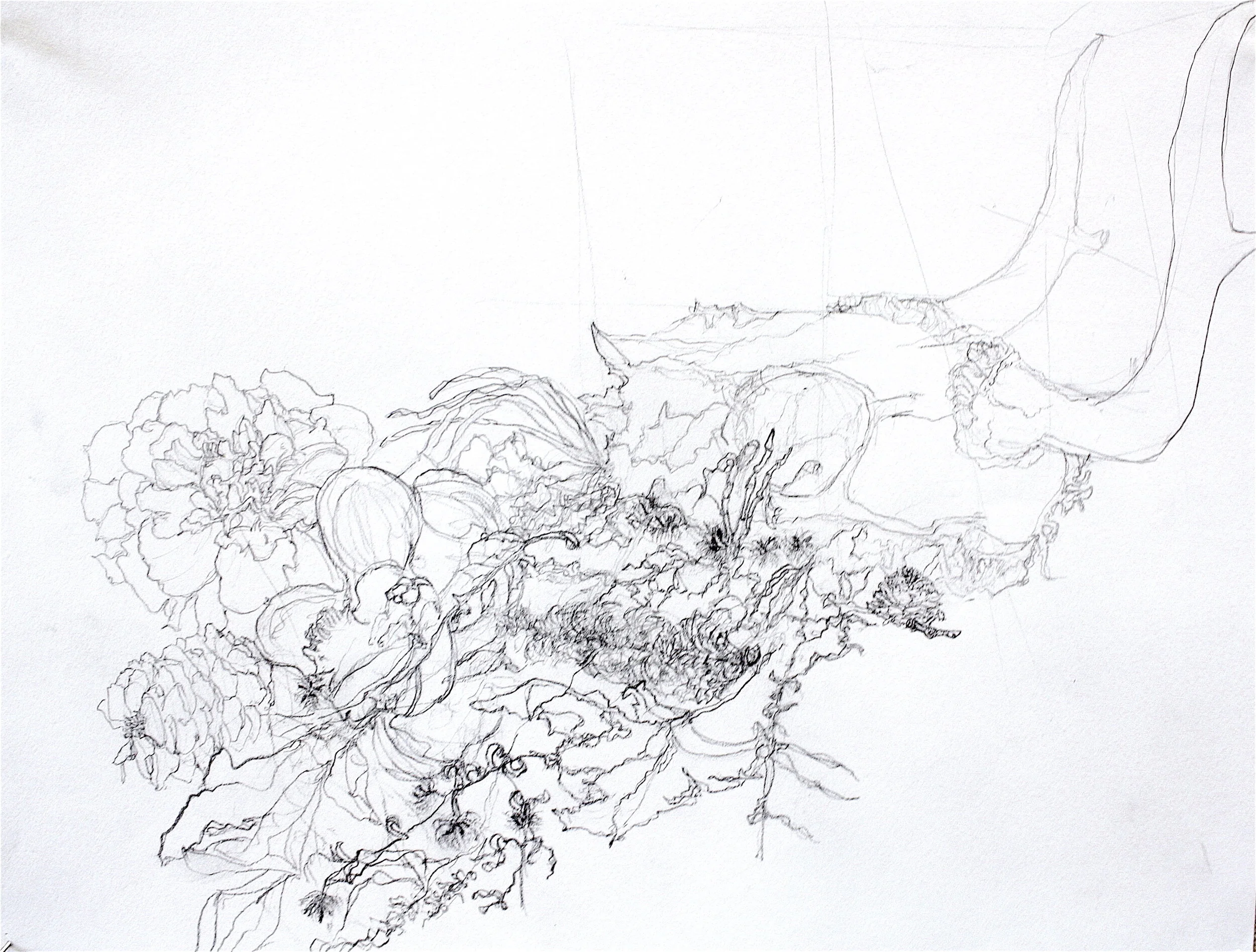 Still-Life (3), 2016, Completed for Drawing Nature Course, graphite on paper, 24 x 18 inches