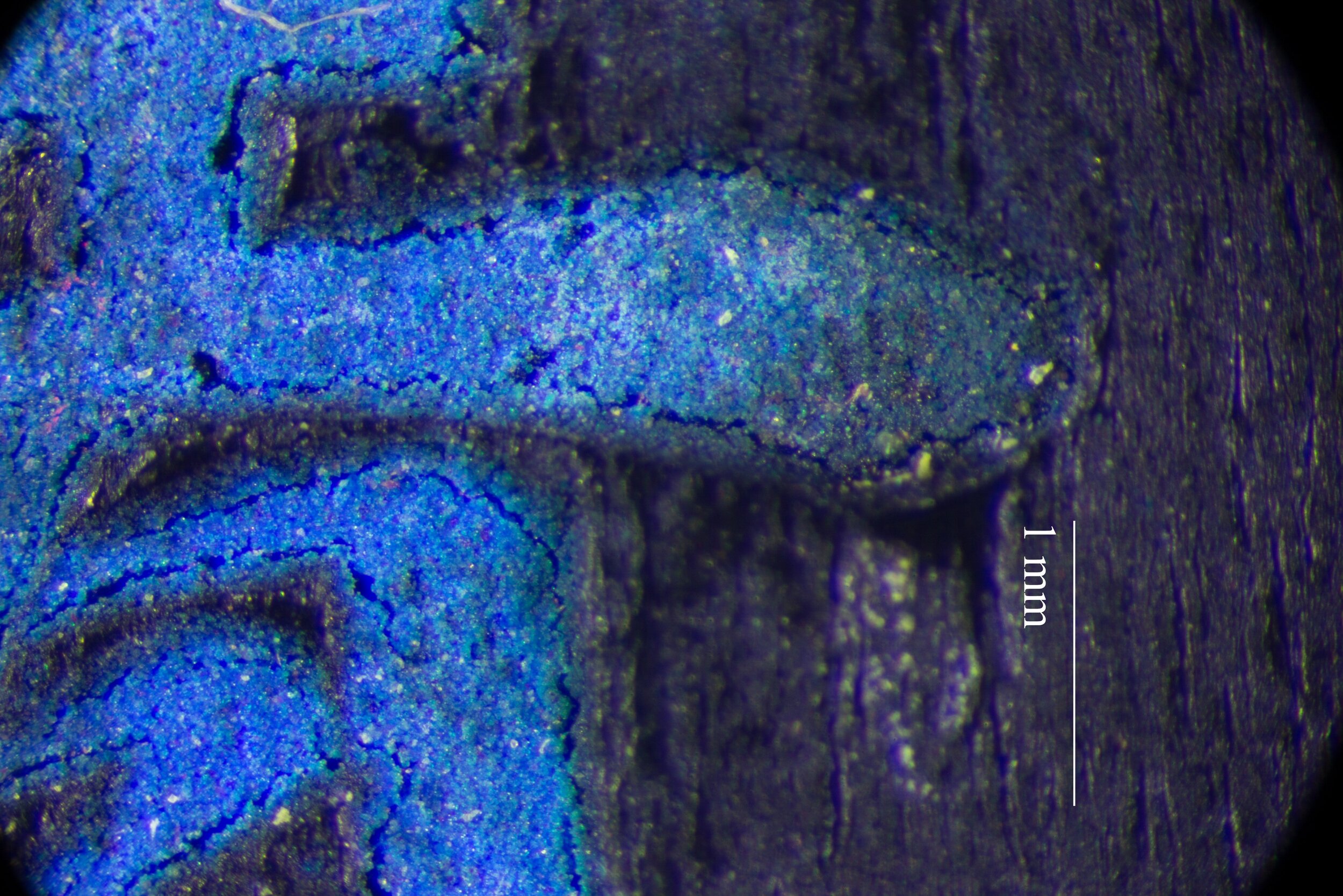 24371_Roberson_10.0x_%28grain+1%29.jpg