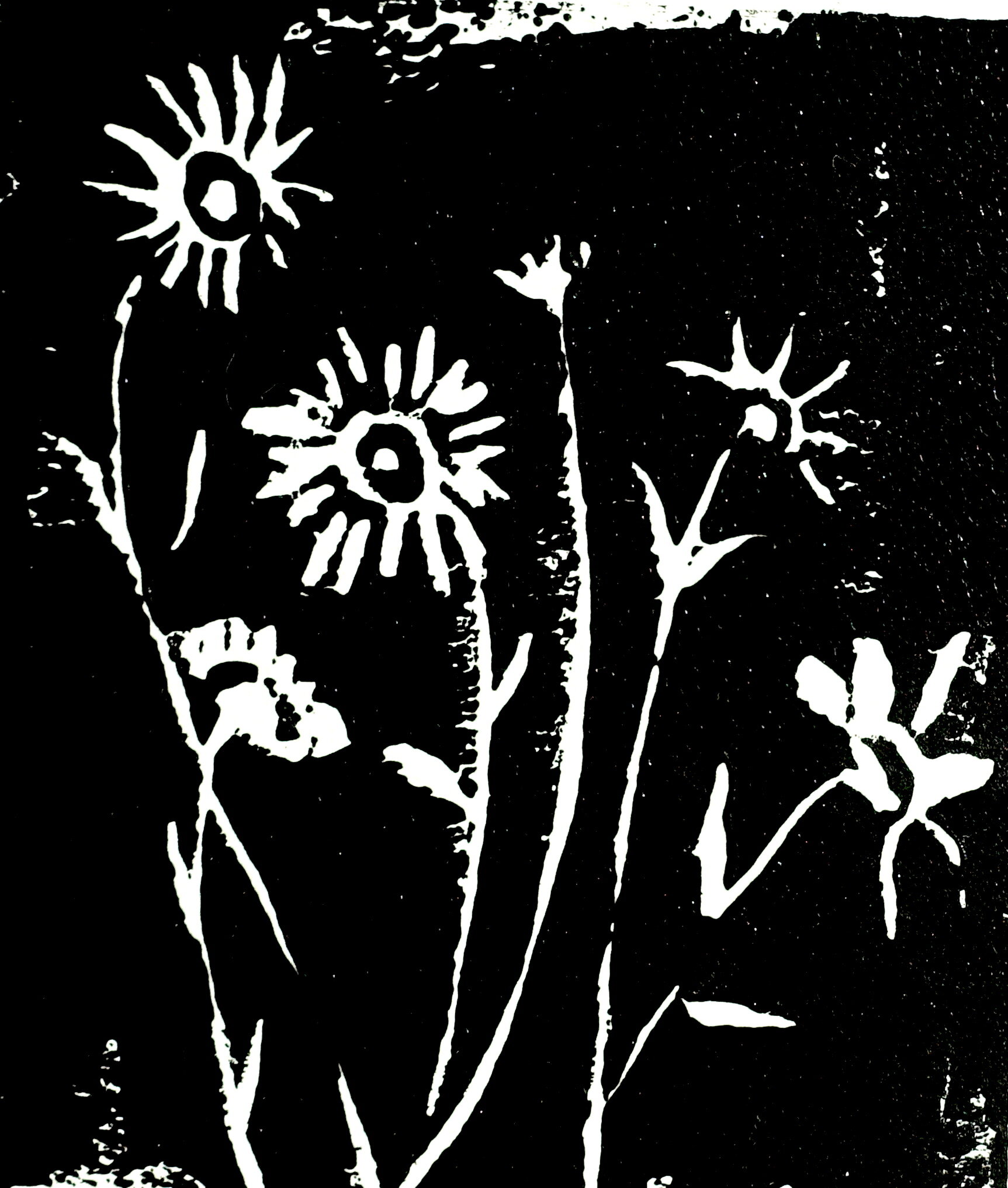 Daisies 2, 2020, linoleum print, 4 x 4.5 inches