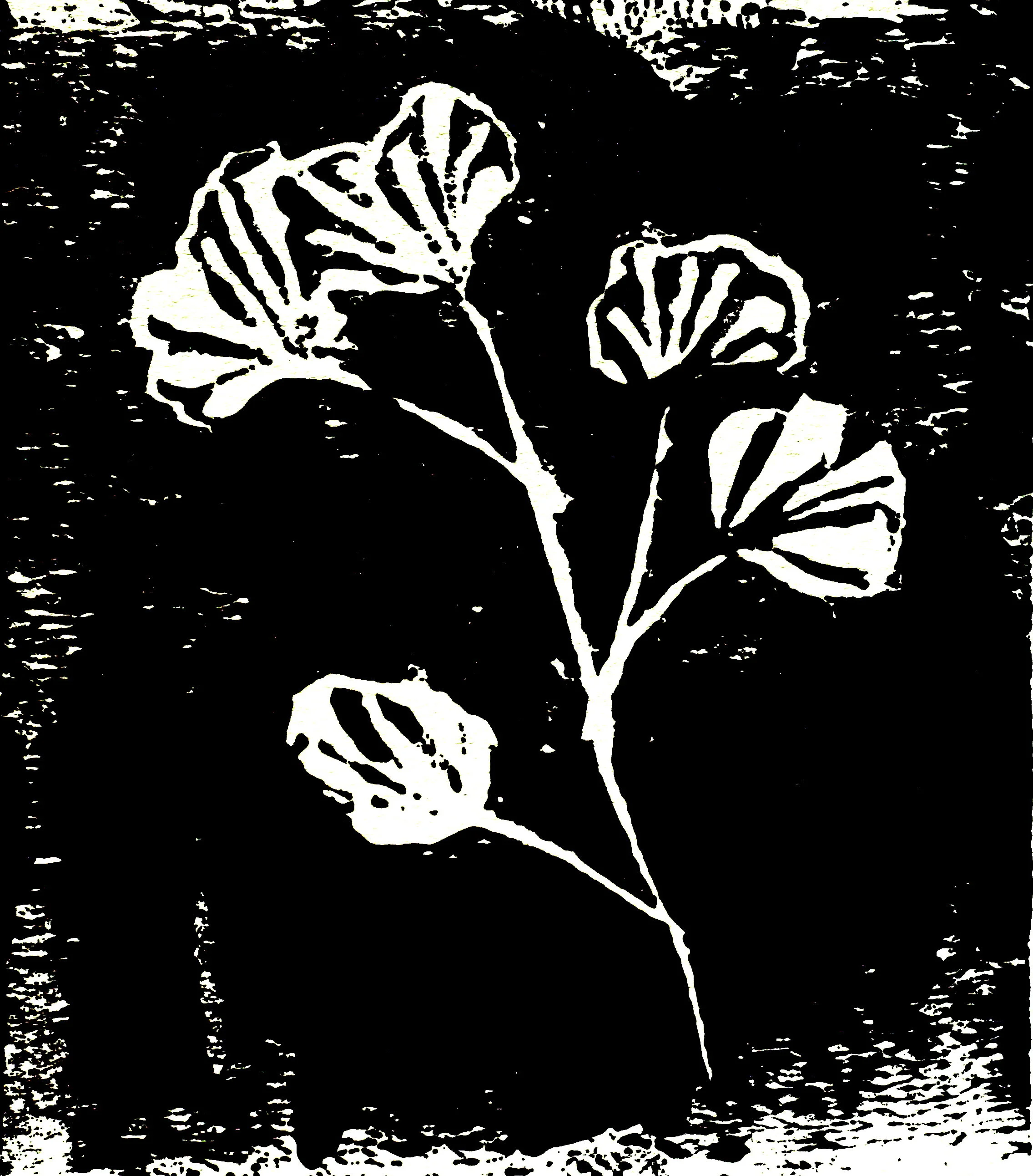 Gingko 2, 2020, linoleum print, 4 x 4.5 inches