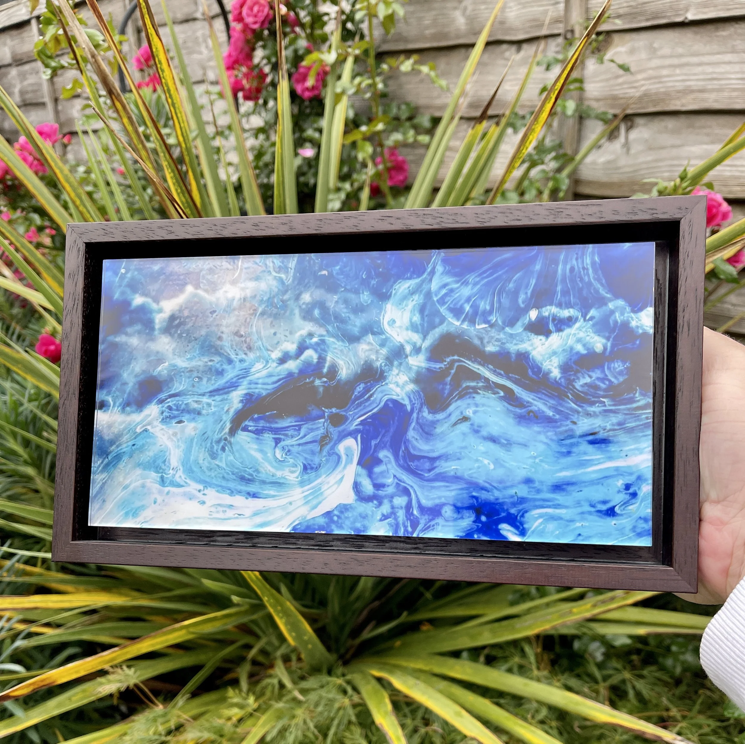 Galatea - outside held 2.JPG