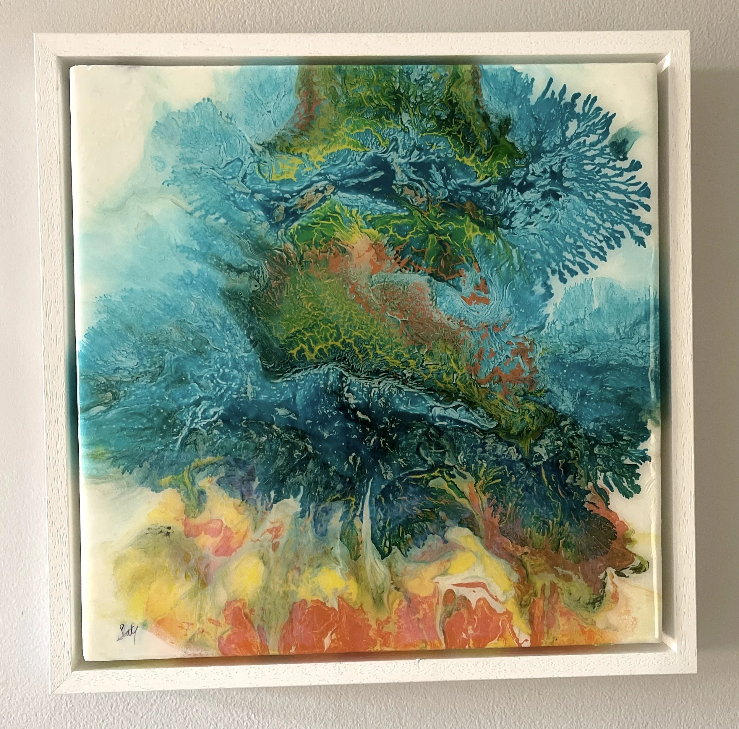 Blue Blossom main photo inside.JPG