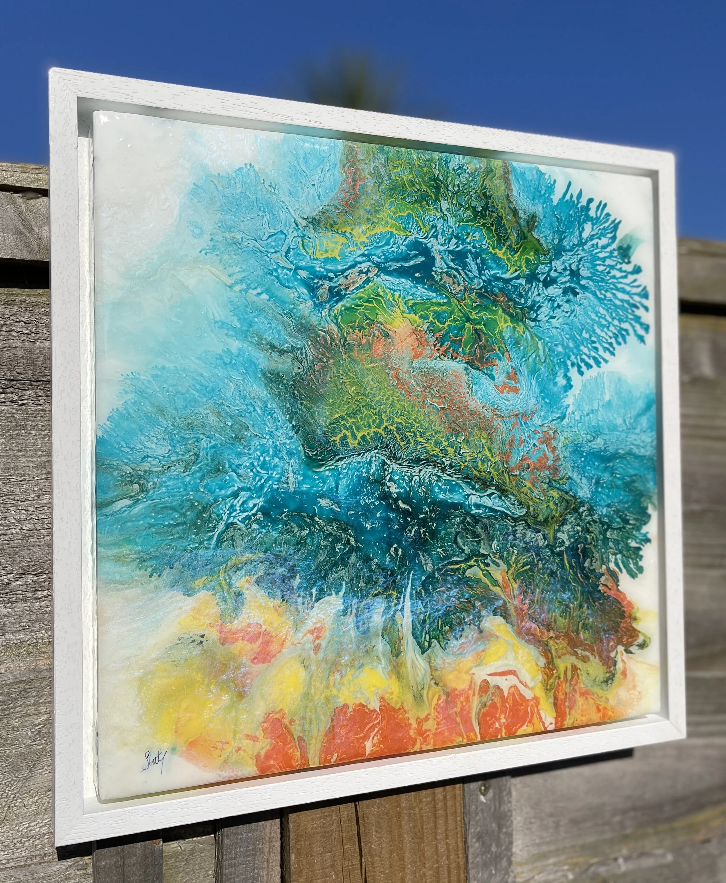Blue Blossom left outside.JPG