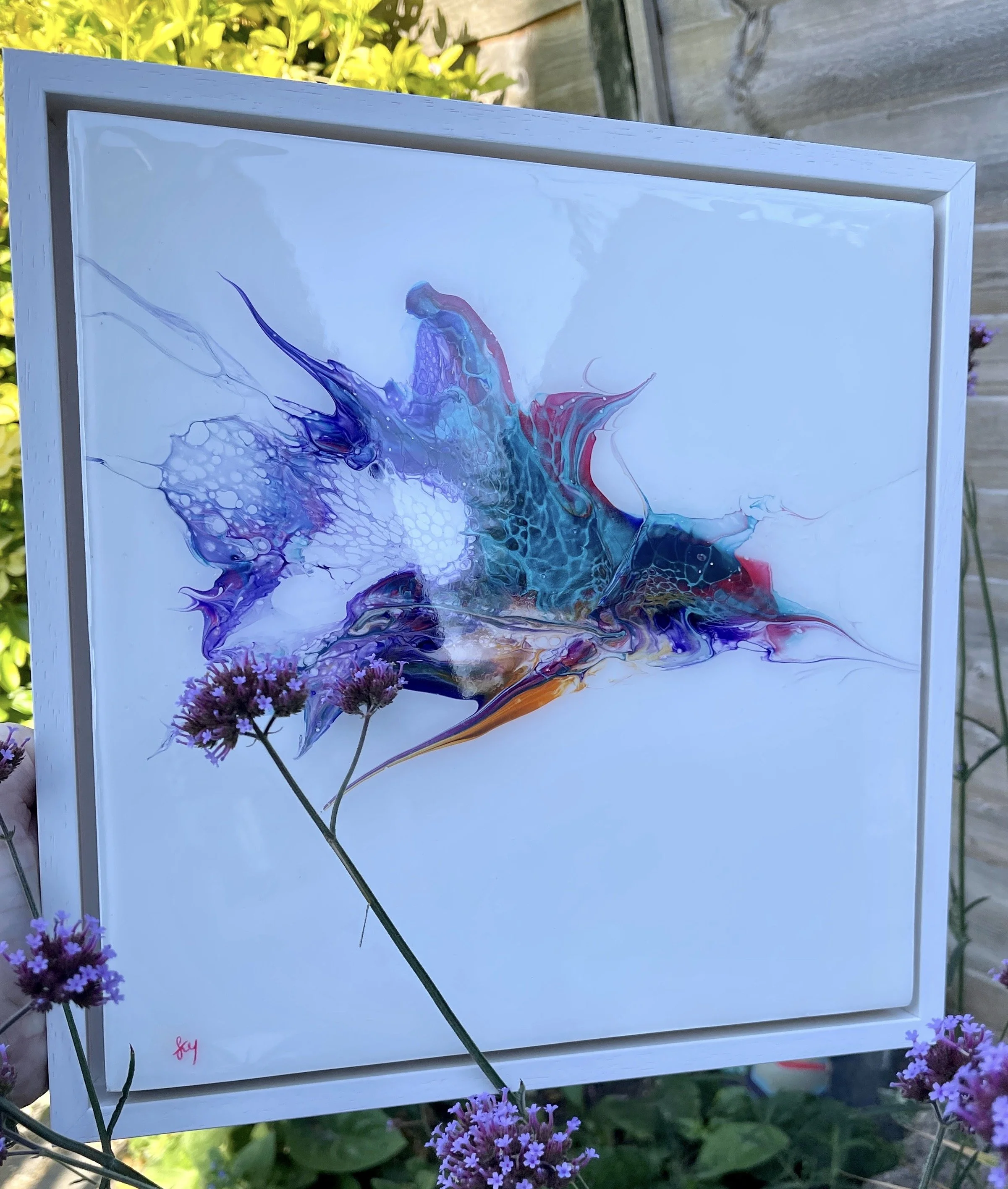 Galaxy Iris  - Ouside garden.JPG