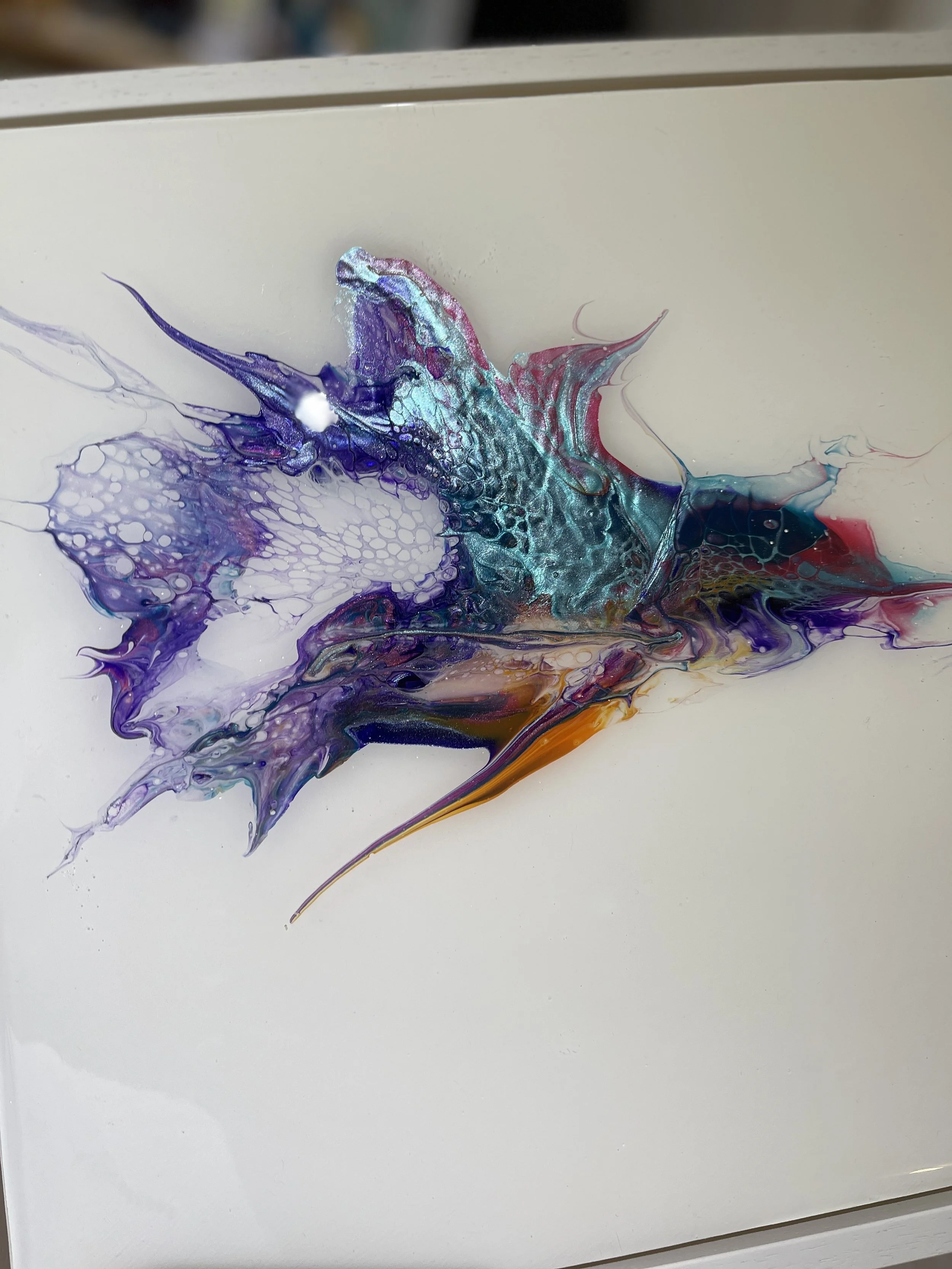 Galaxy Iris - close up.JPG