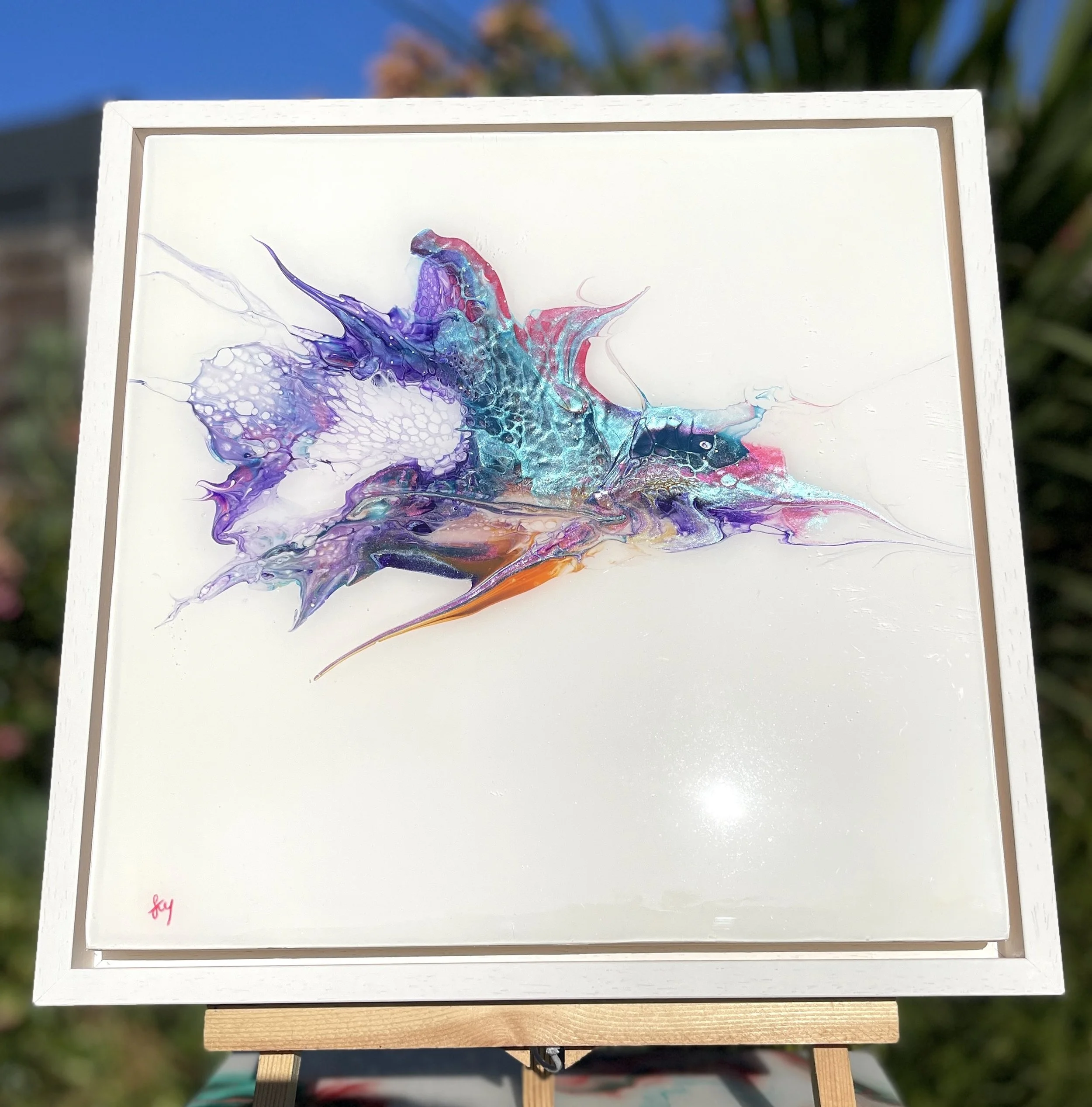 Galaxy Iris  - outside front.JPG