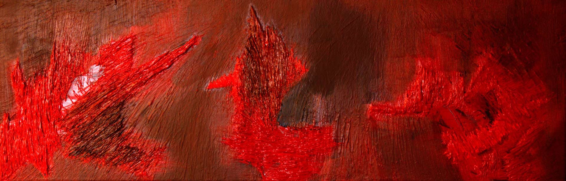 The Illusion of Freedom