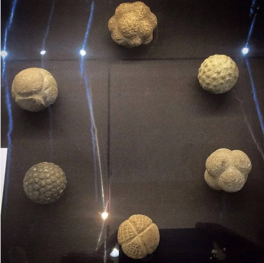 Image 8-23-24 at 12.02 PM.jpeg