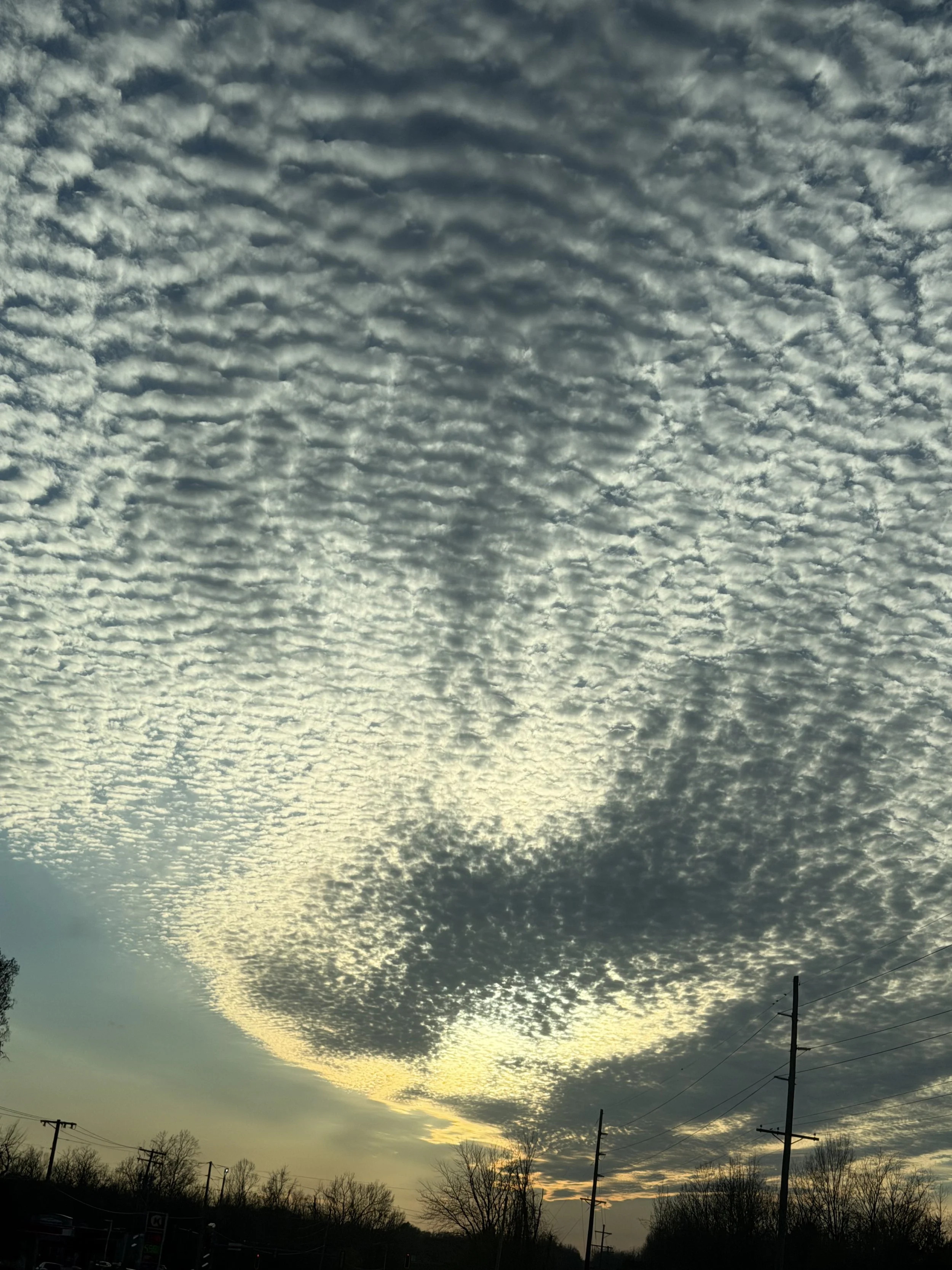 IMG_6704.jpeg