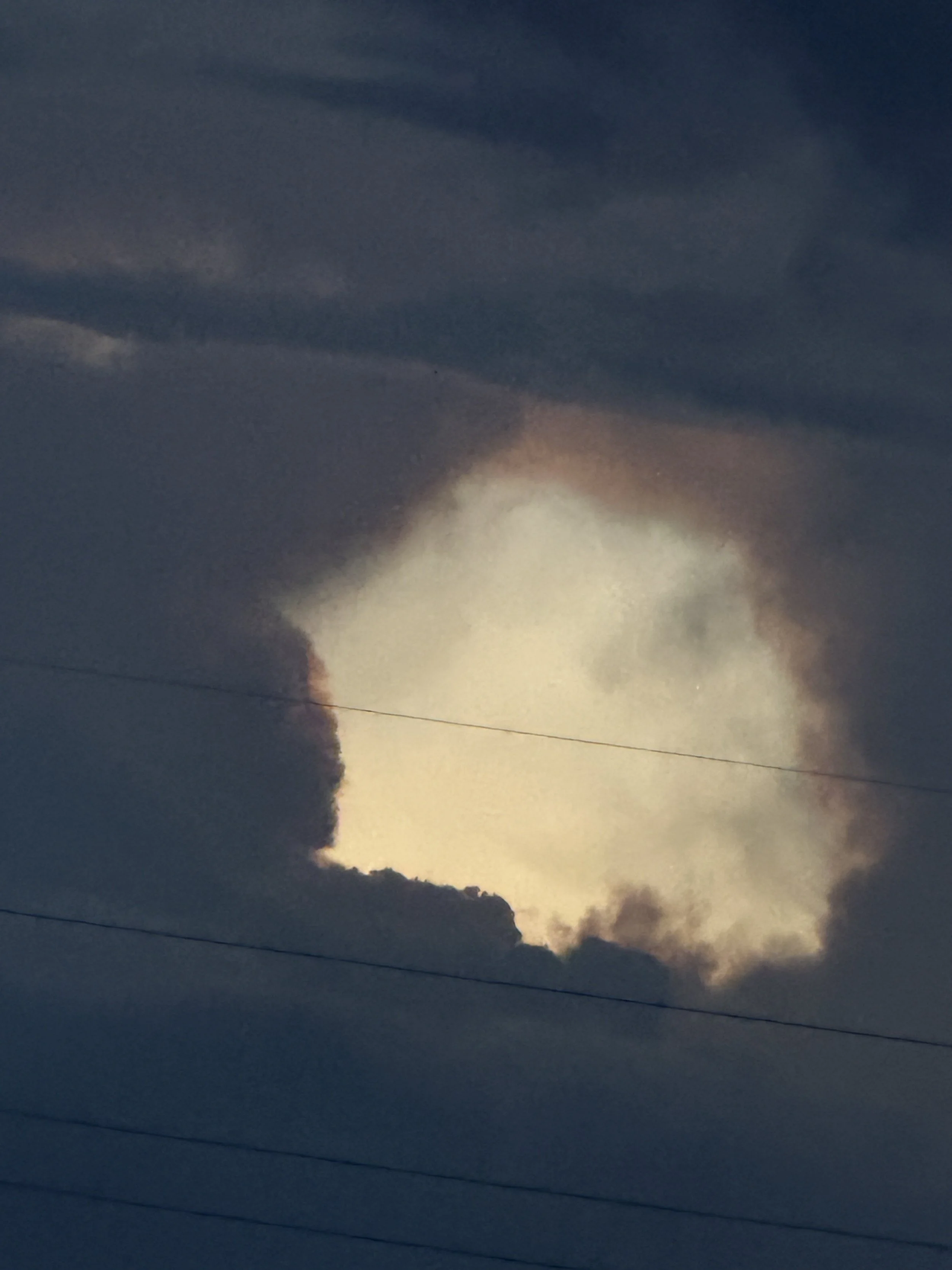 IMG_7412.jpeg