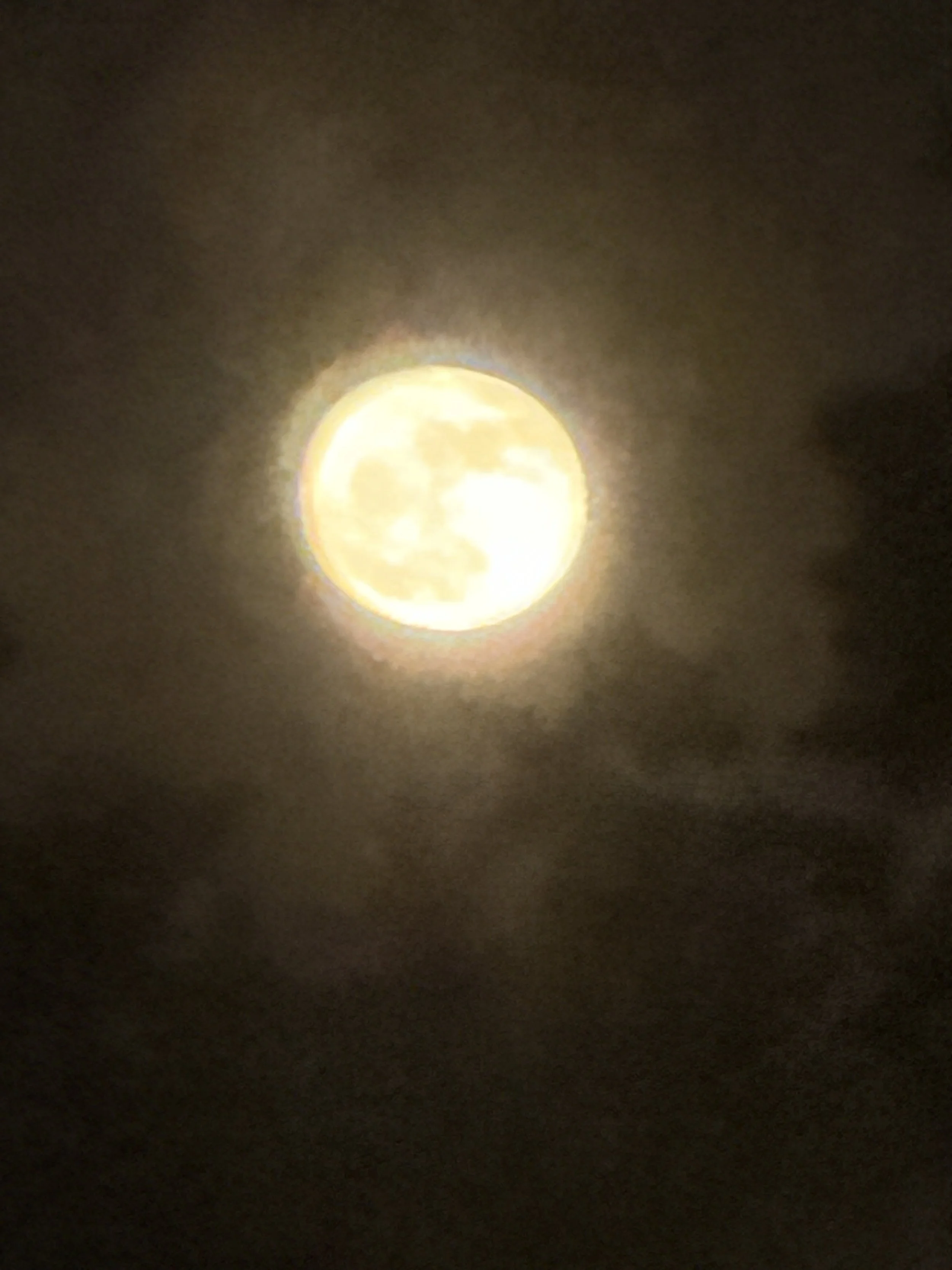 IMG_9371.jpeg