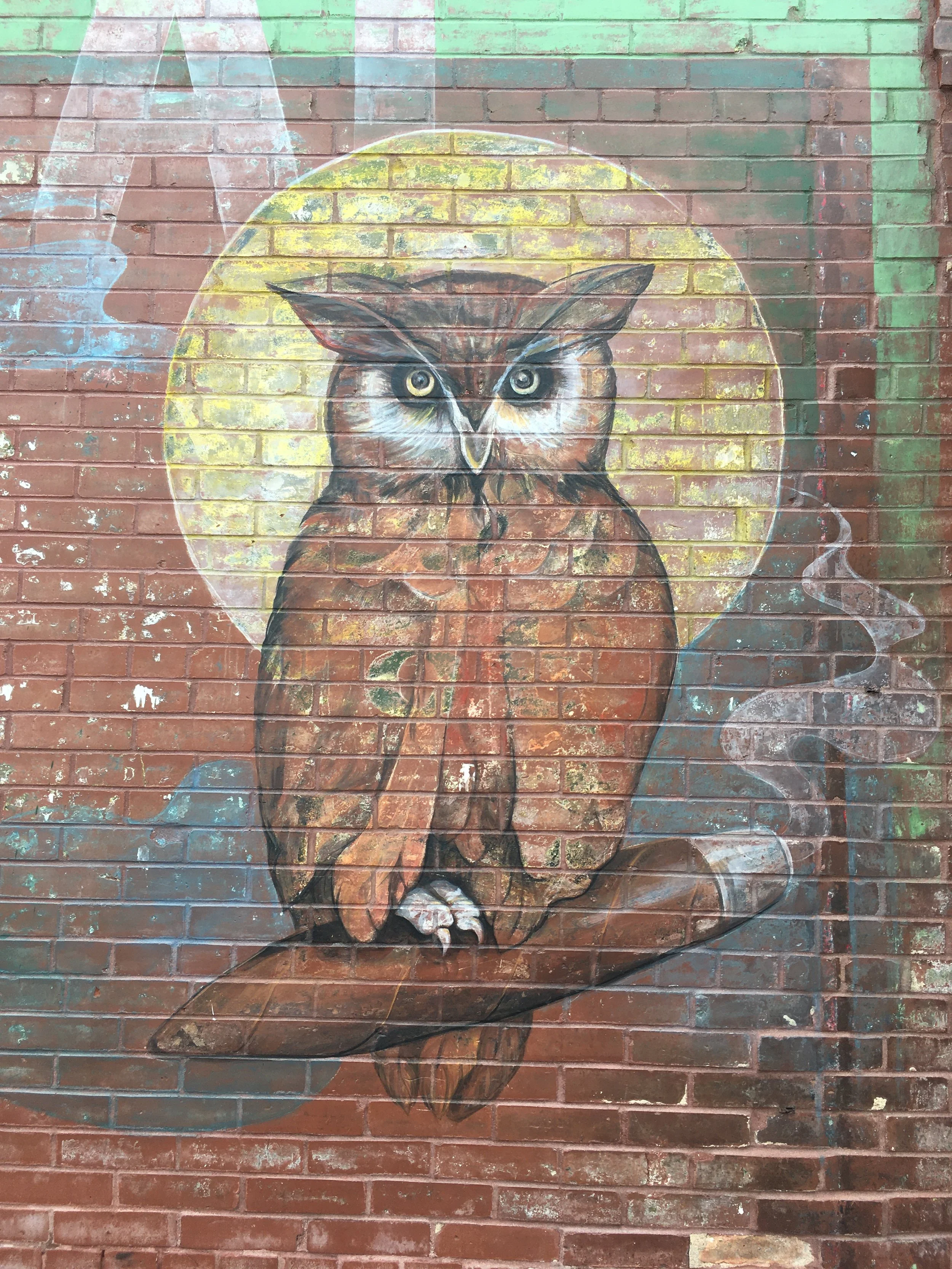 When I first got to Carbondale, I was seeing owls everywhere.