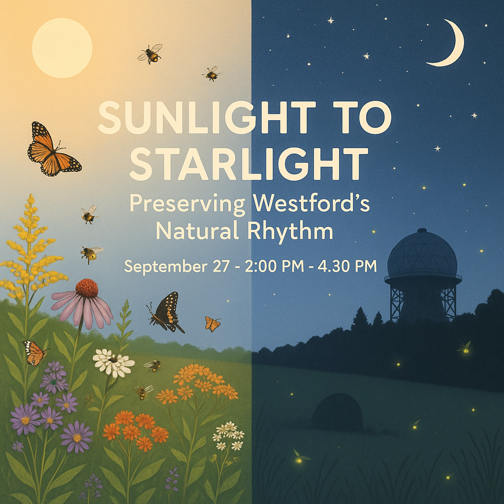 From Sunlight to Starlight: Preserving Westford’s Natural Rhythm