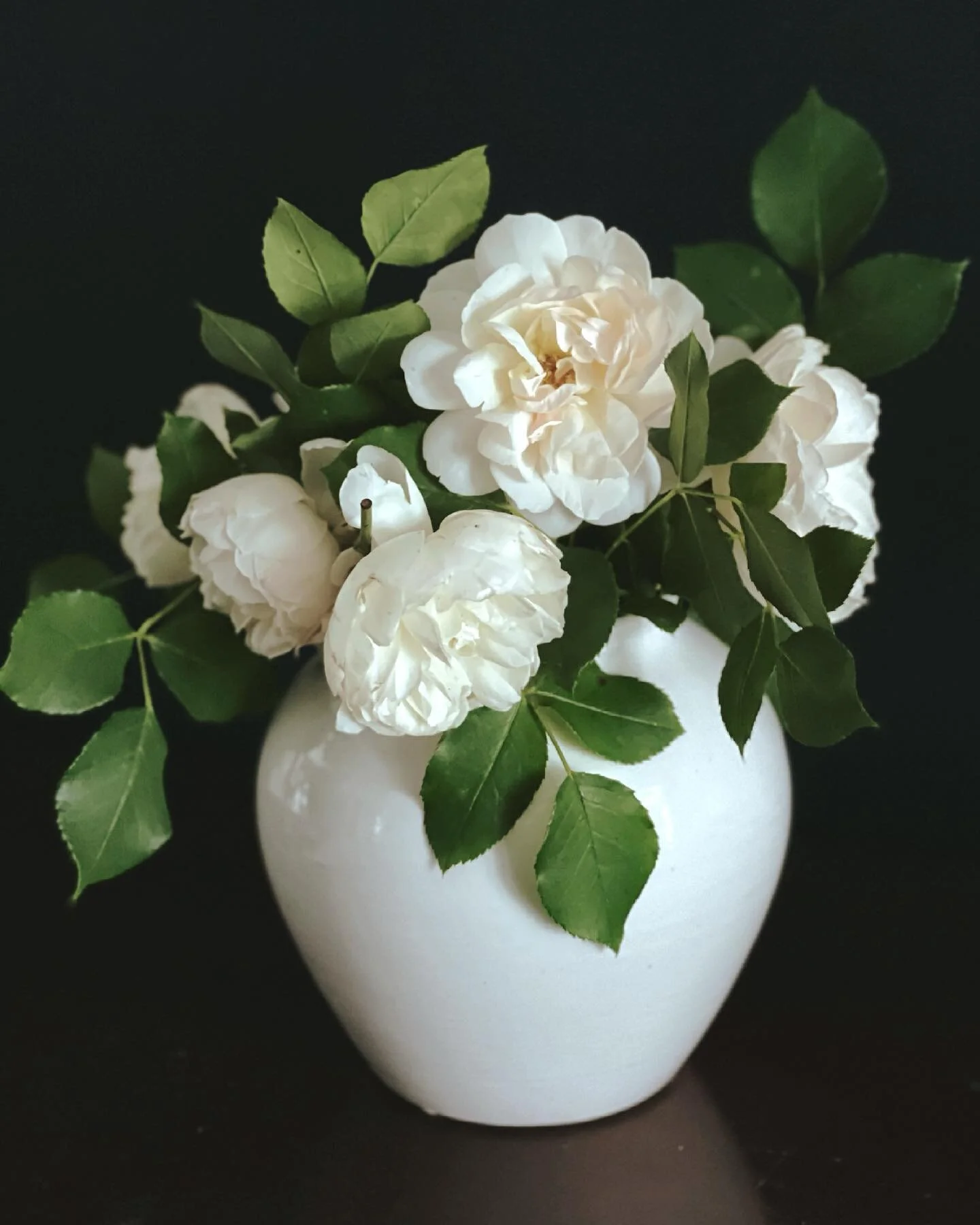 These are my first white roses of the season from my garden and they make me so happy. They are David Austen Lichfield Angel. 👼 @david_austin_roses