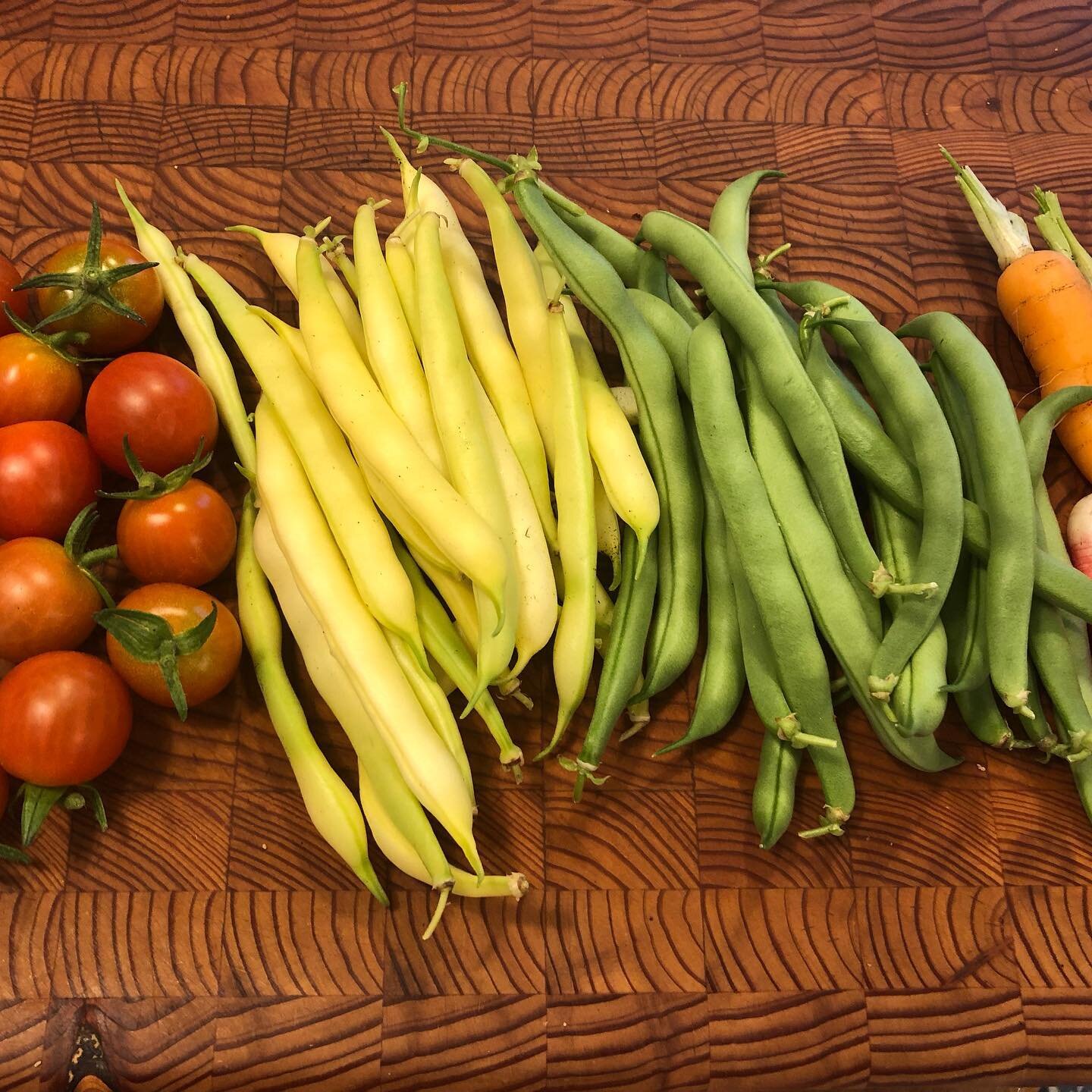 My first experience growing vegetables has brought such success! We are enjoying the produce as well as sharing with neighbours who have walked by and cheered these little beauties on.
