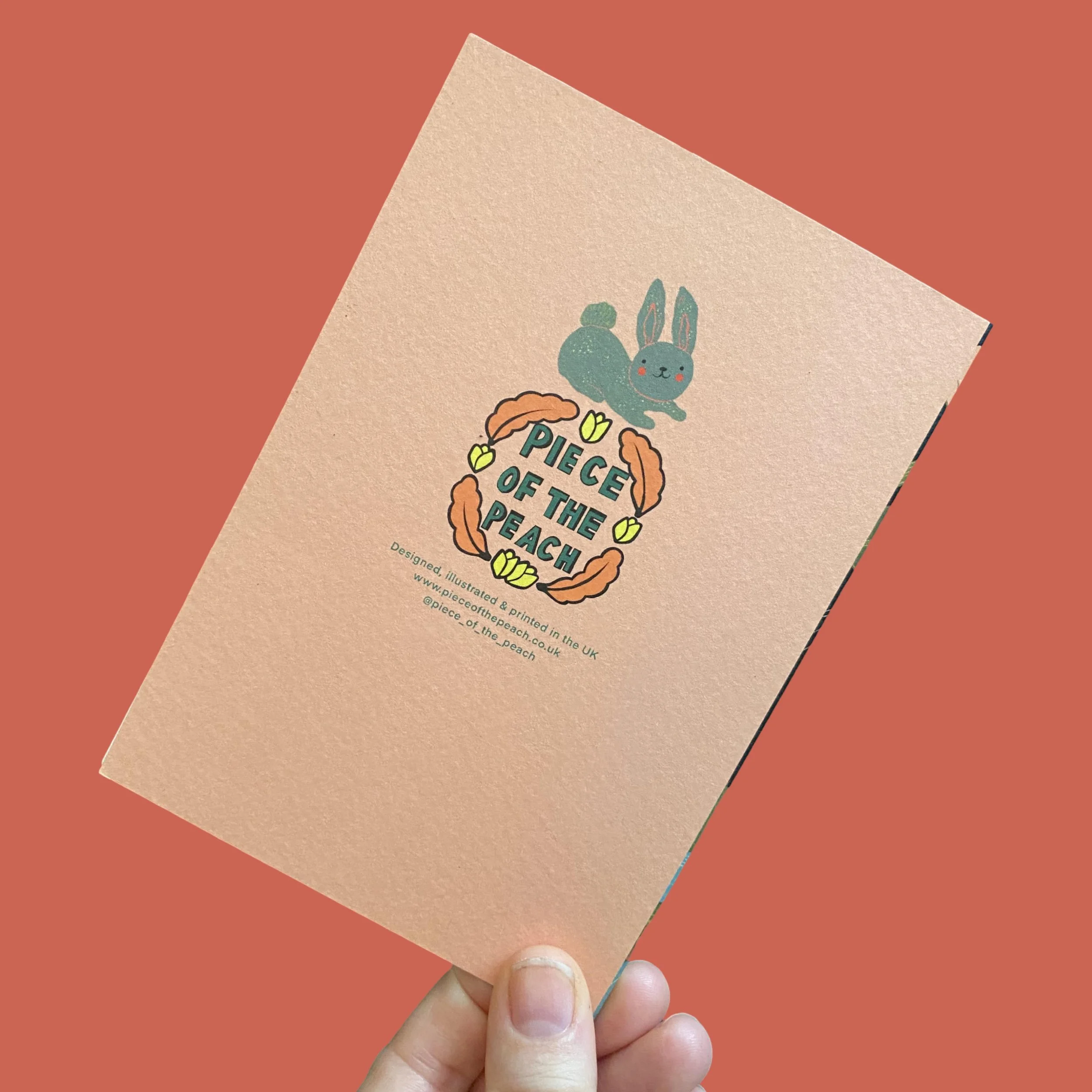 CONTEMPLATION BACK.jpg