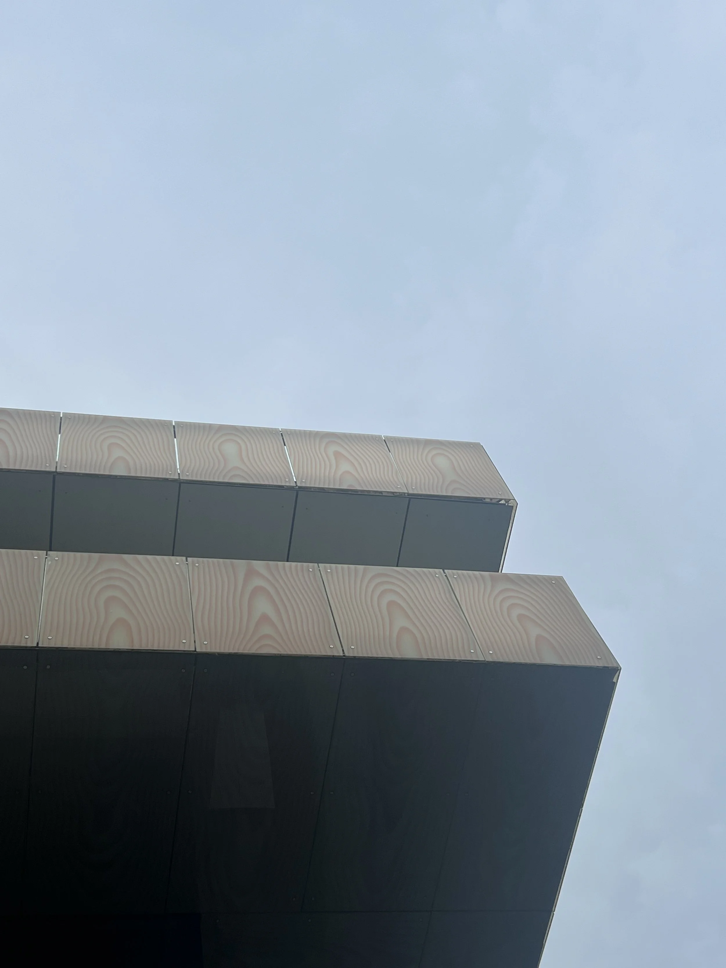 a sunburst loved forever rain