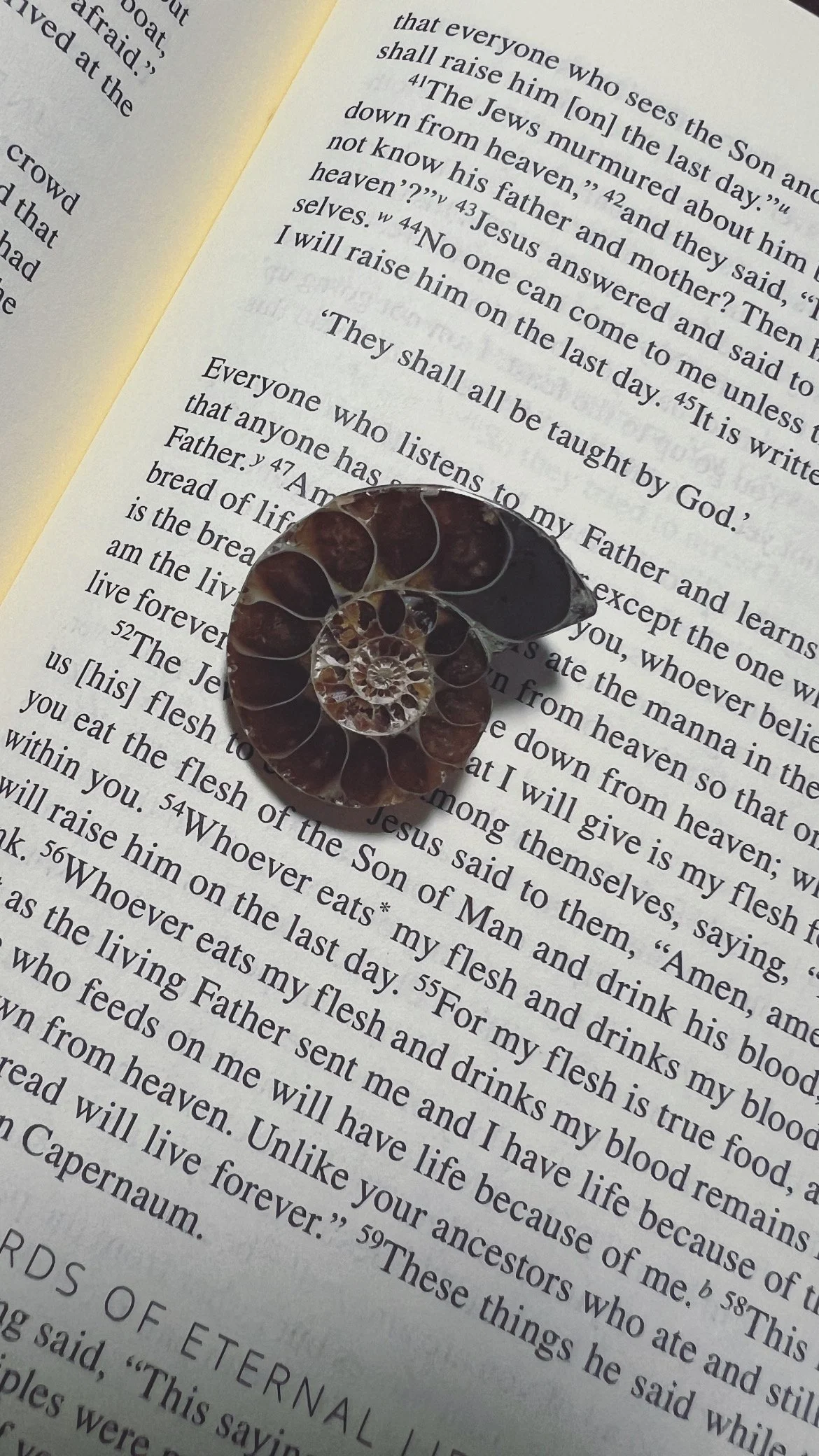 to my knight of cups