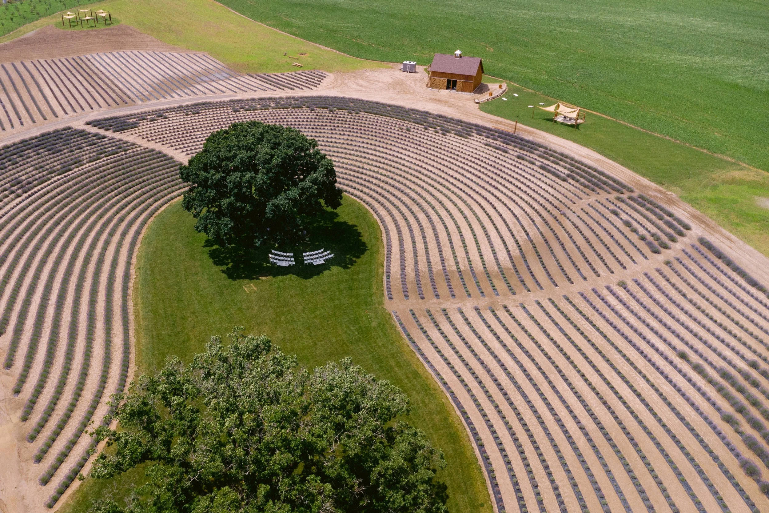 DJI_0151-2.jpg