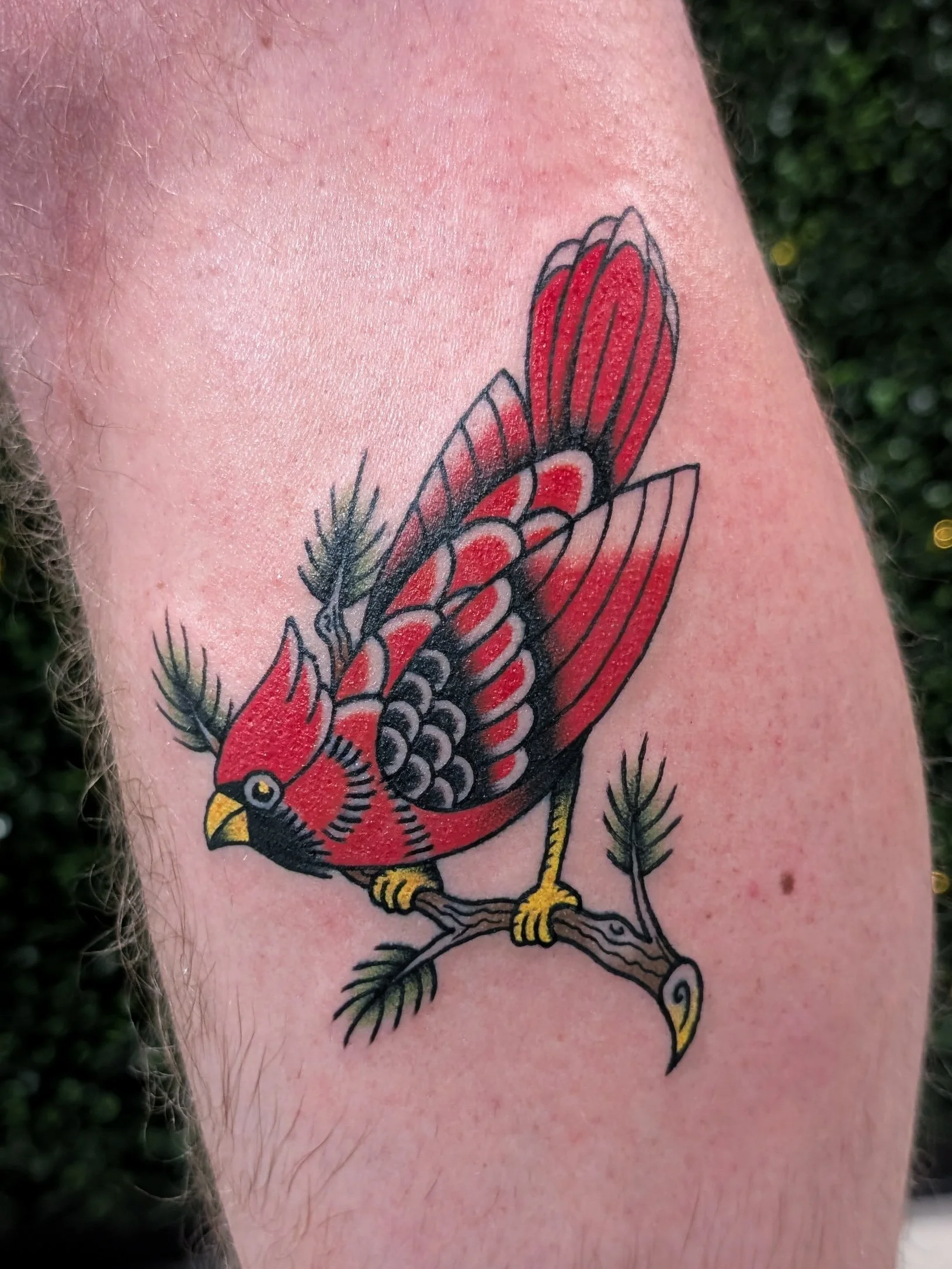 PXL_20260204_200649165 (1) (1).jpg