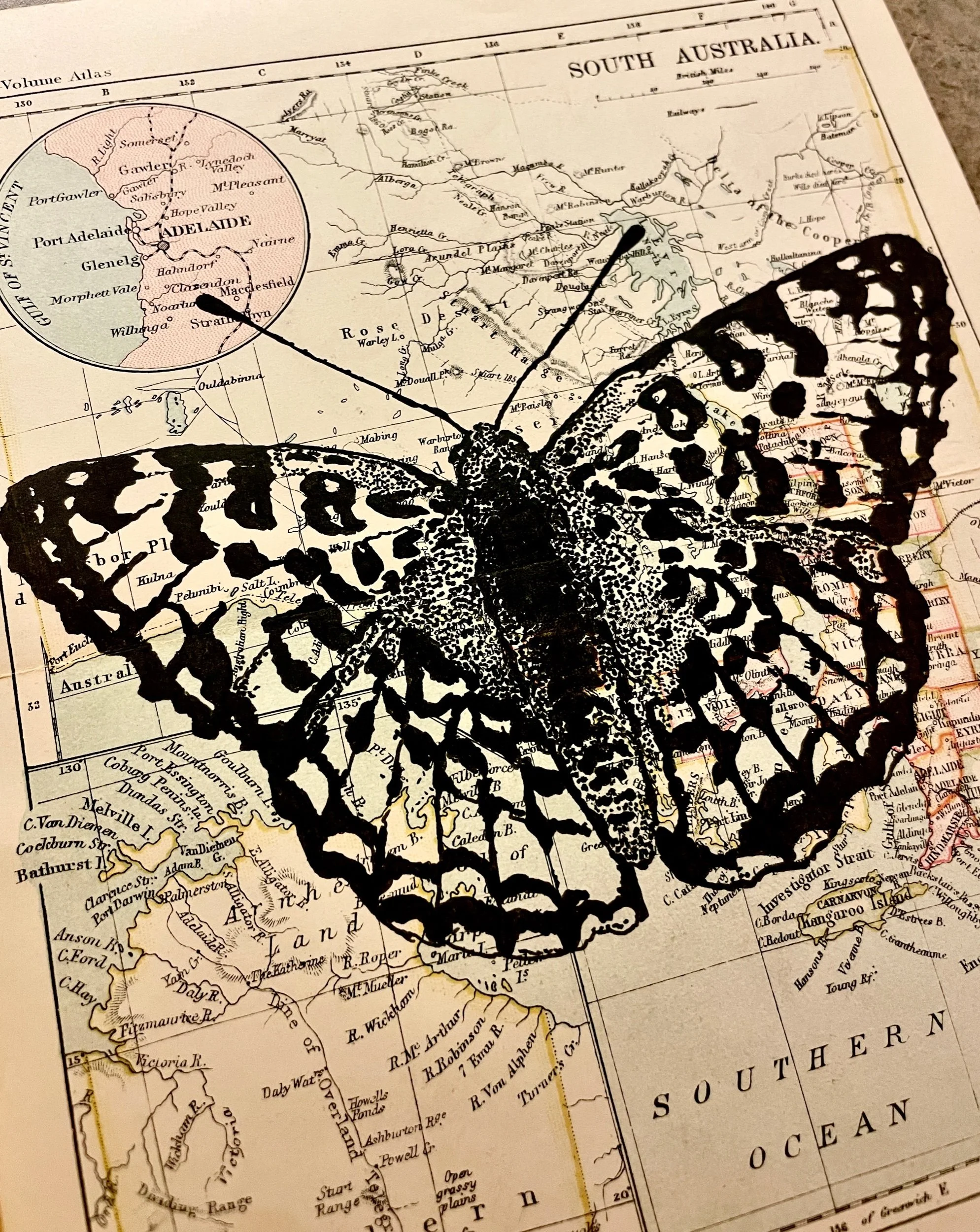 6F508C18-CA00-46F5-AA14-DB0D20E21A93.jpeg