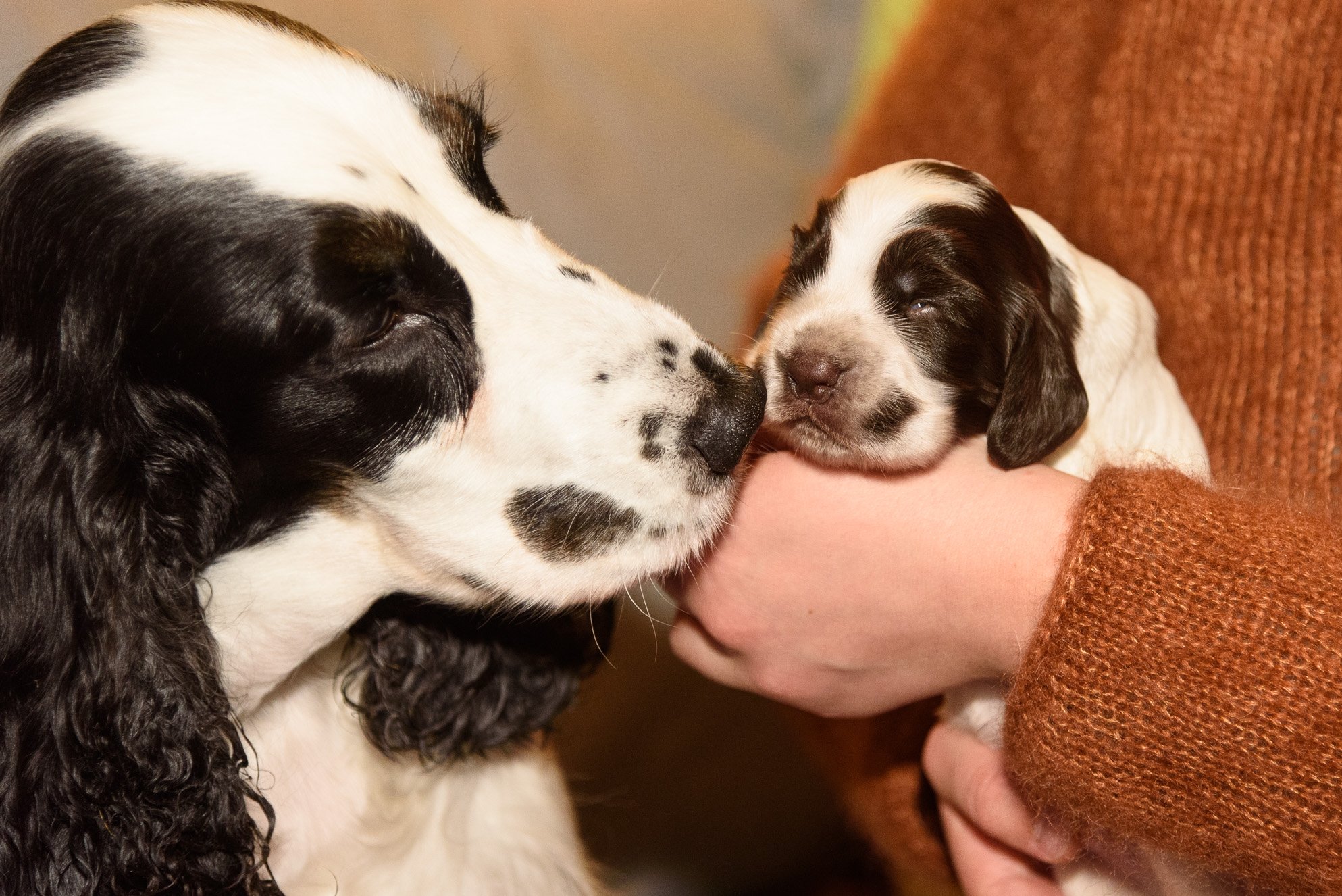 Mama und Hugo