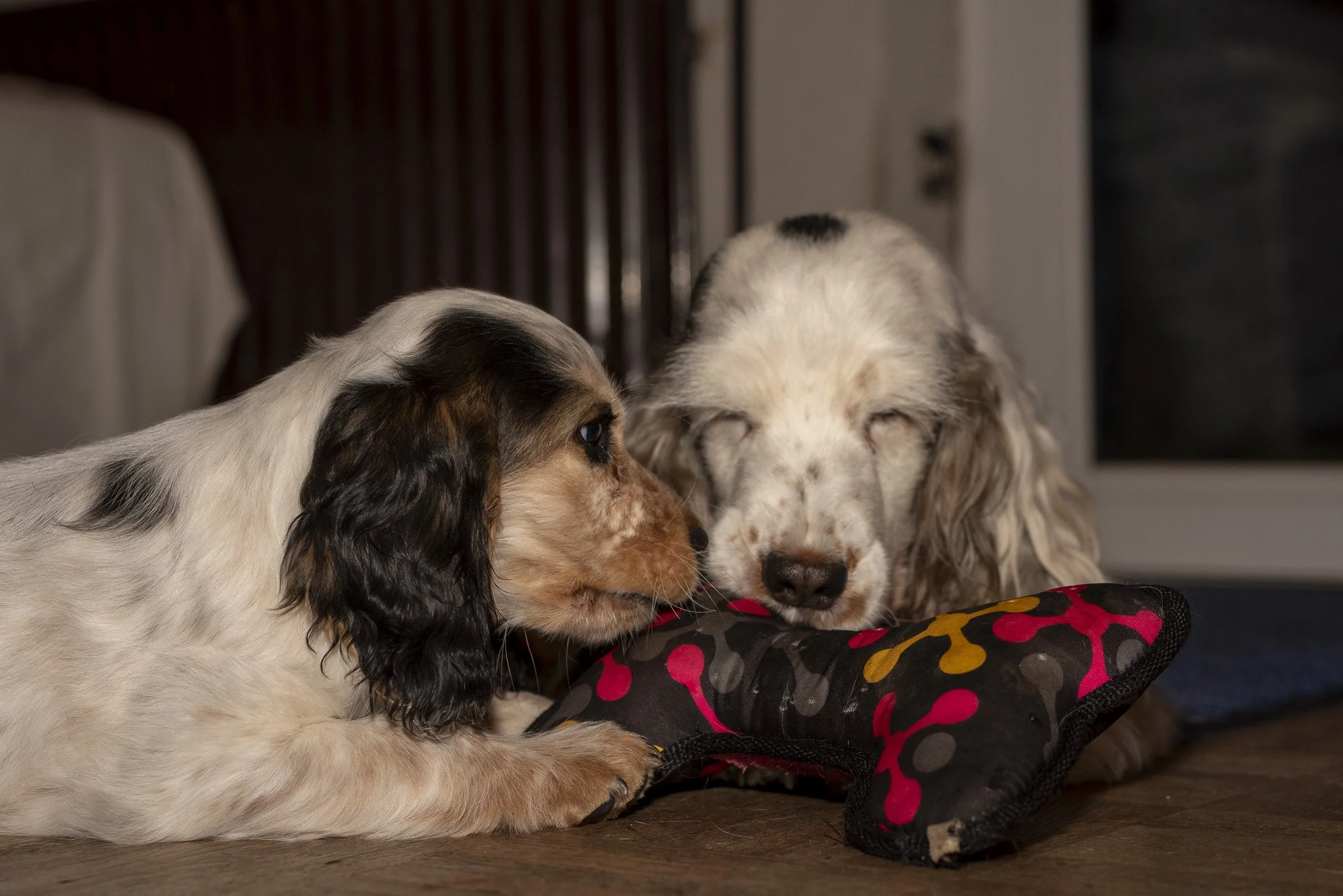 DSC_8851.jpg