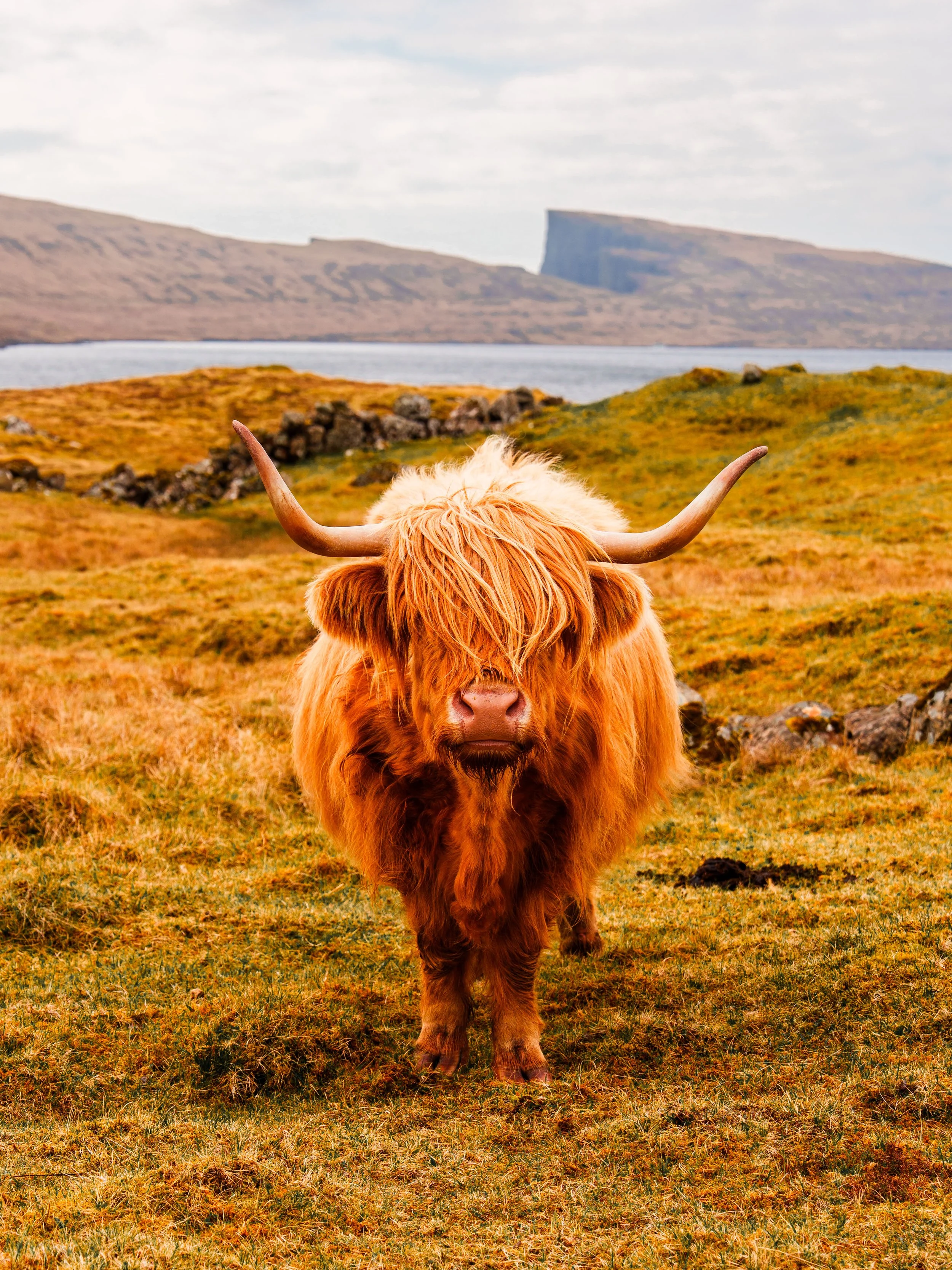 Sony_Faroe_Islands_2026-126-9.jpg