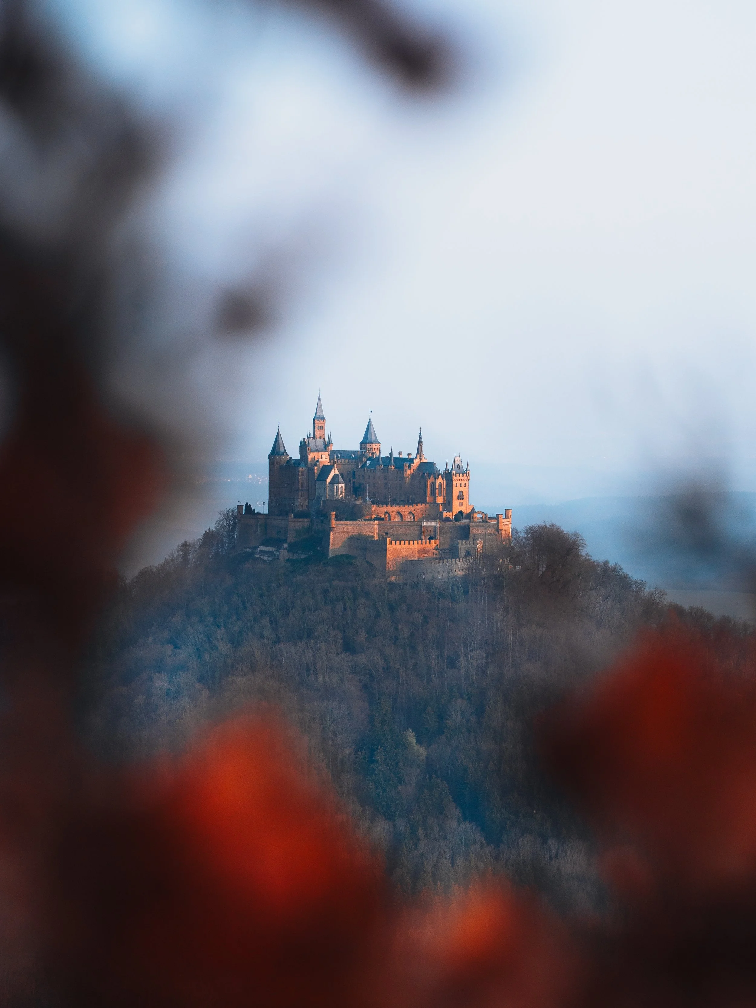  Germany 