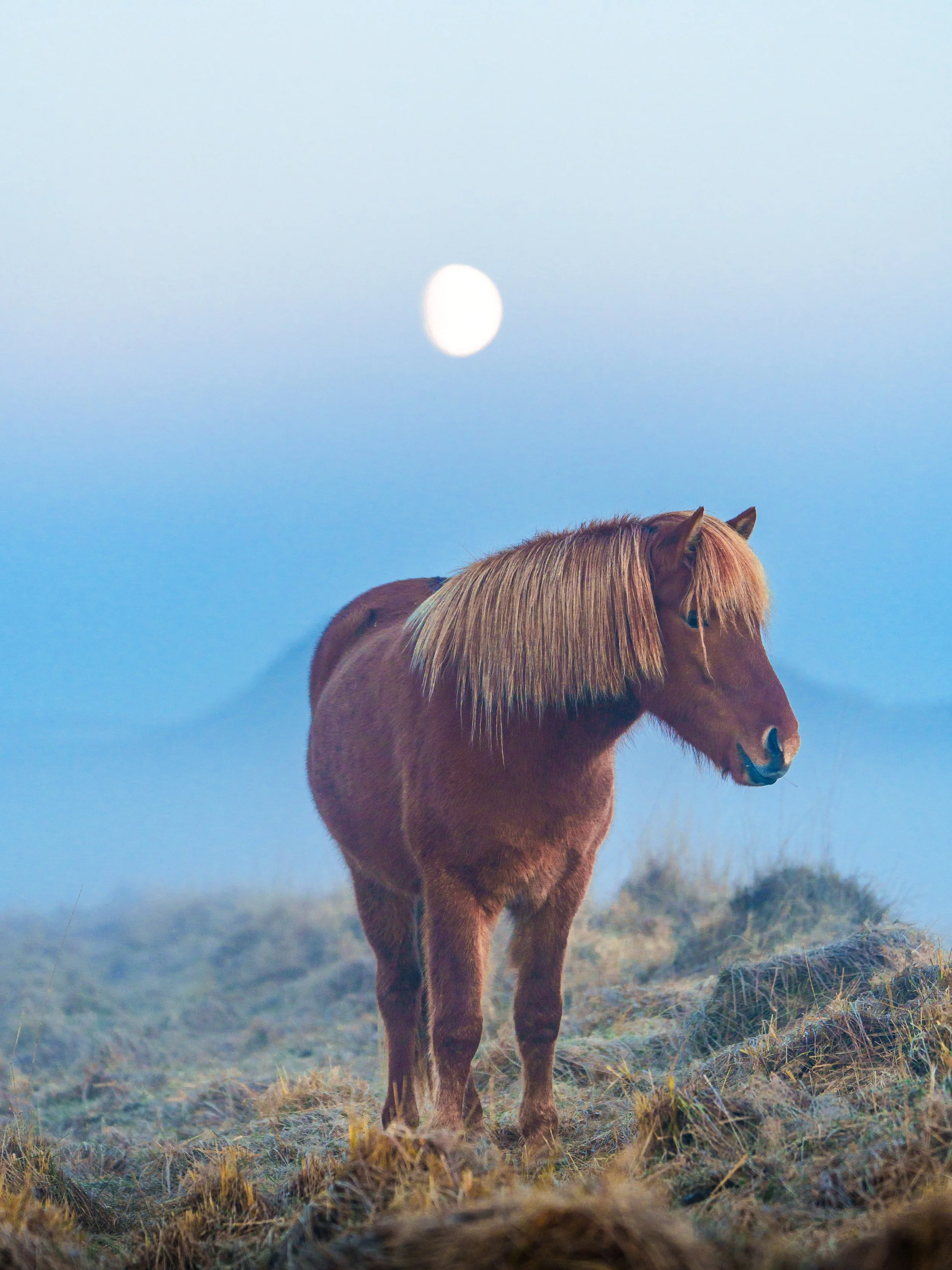 Sony_Iceland_25-214.jpg