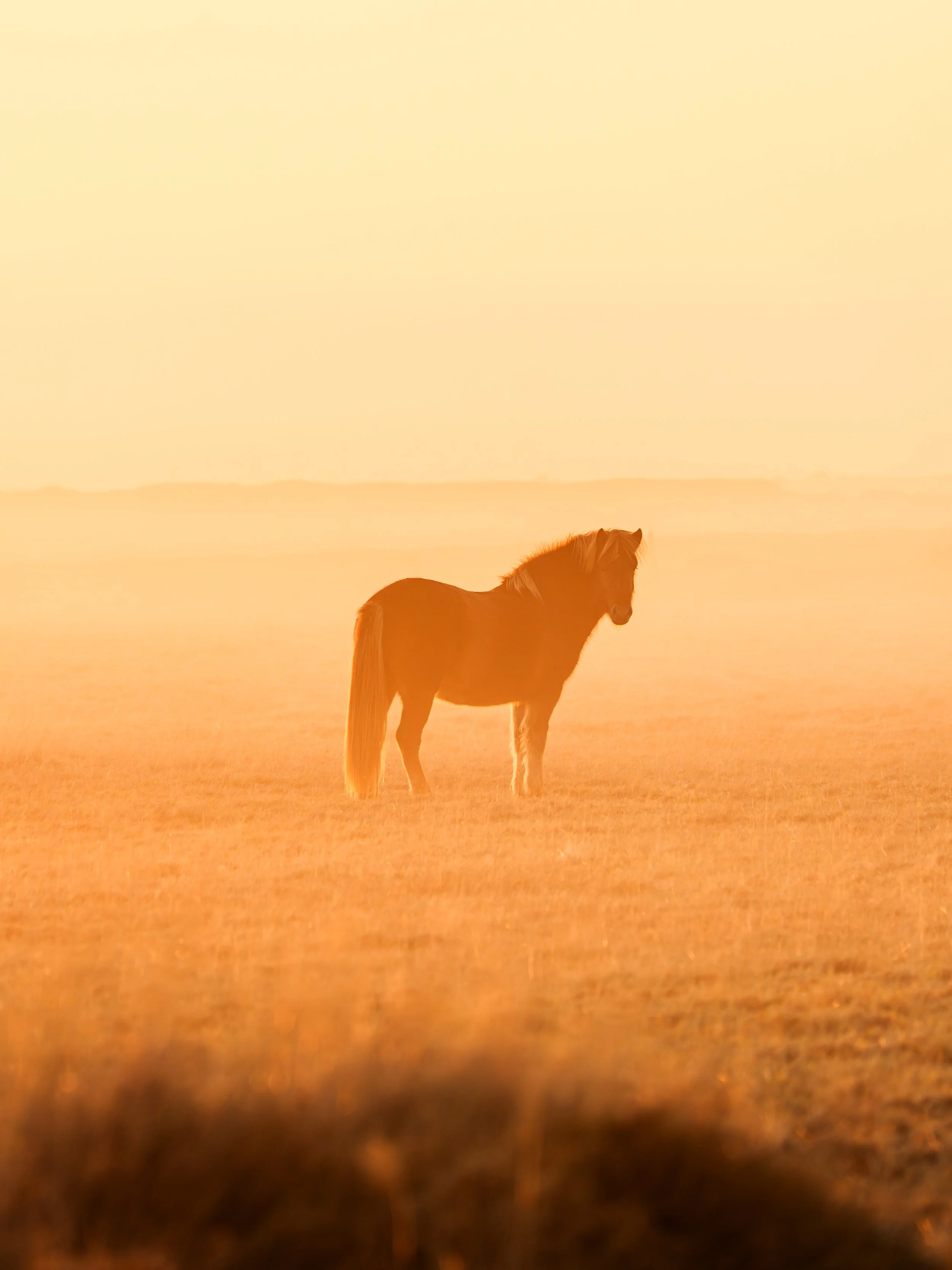Sony_Iceland_25-46.jpg