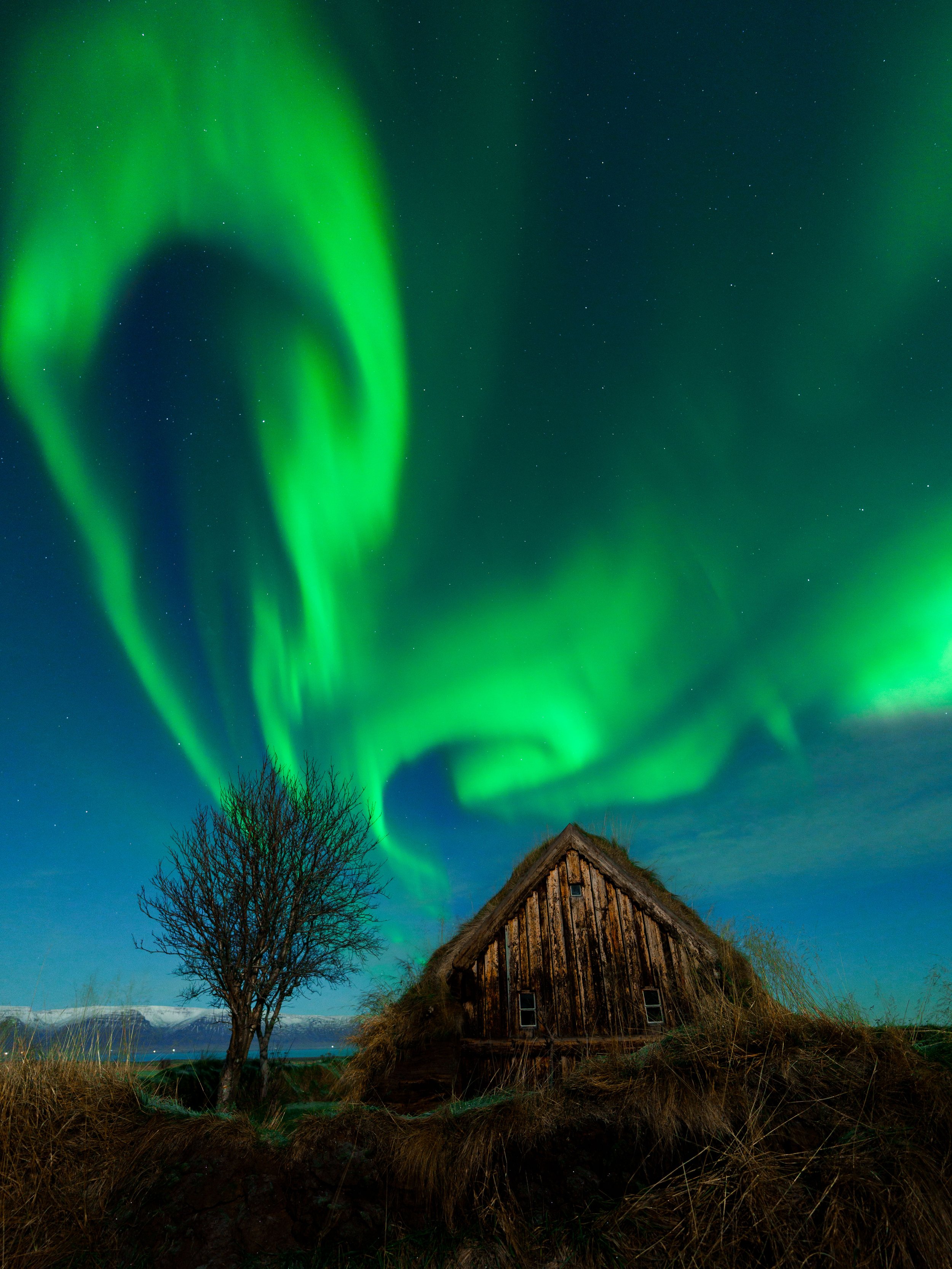 Sony_Aurora_Iceland_25-342.jpg