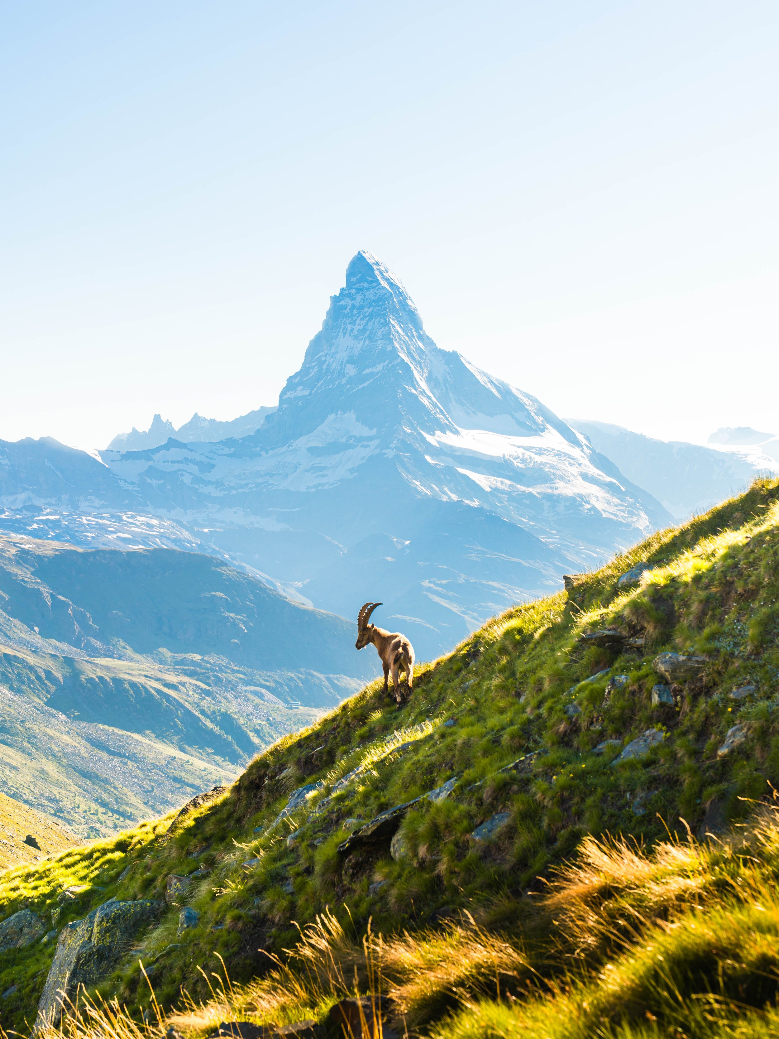 Sony_Zermatt_Juni-127.jpg