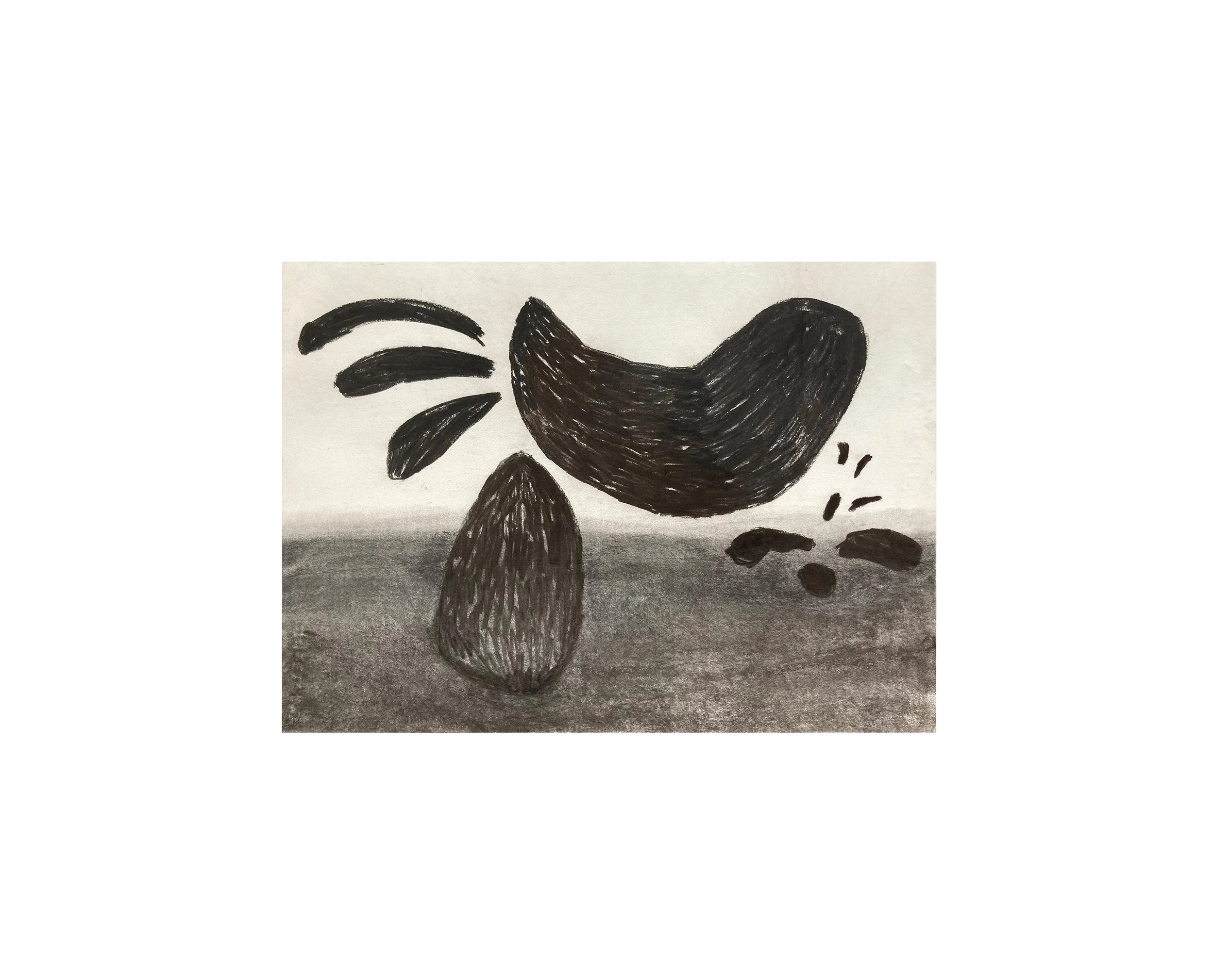 Terra study, charcoal on paper, 42x59.4.jpg