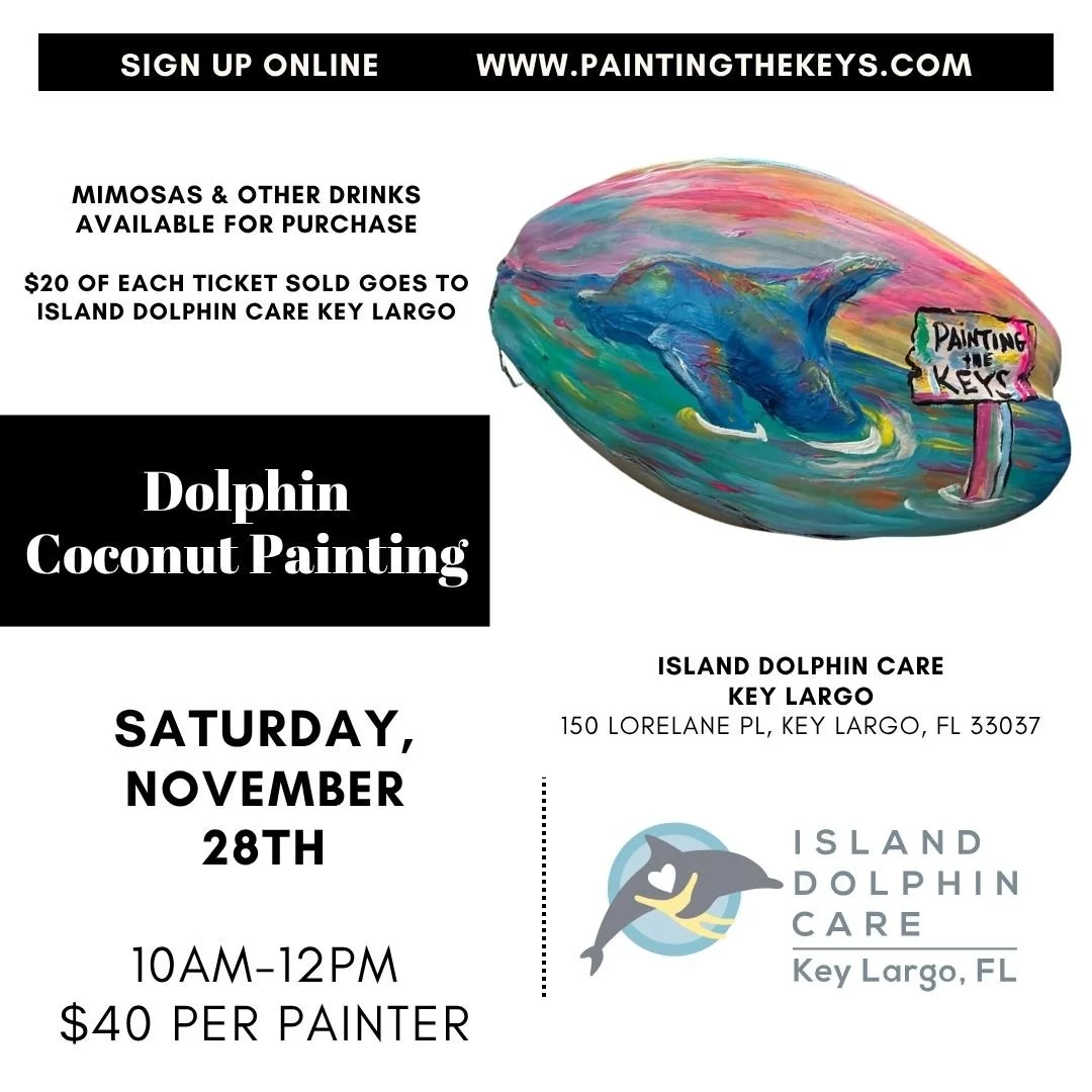 Island Dolphin Care - Dolphin Coconut Painting - November 28