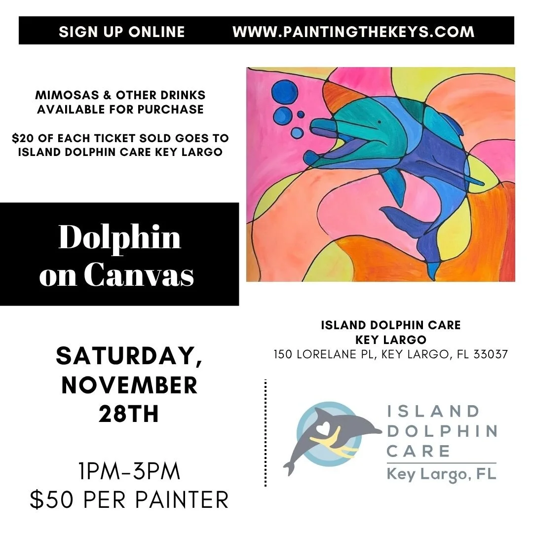 Island Dolphin Care - Dolphin on Canvas - November 28