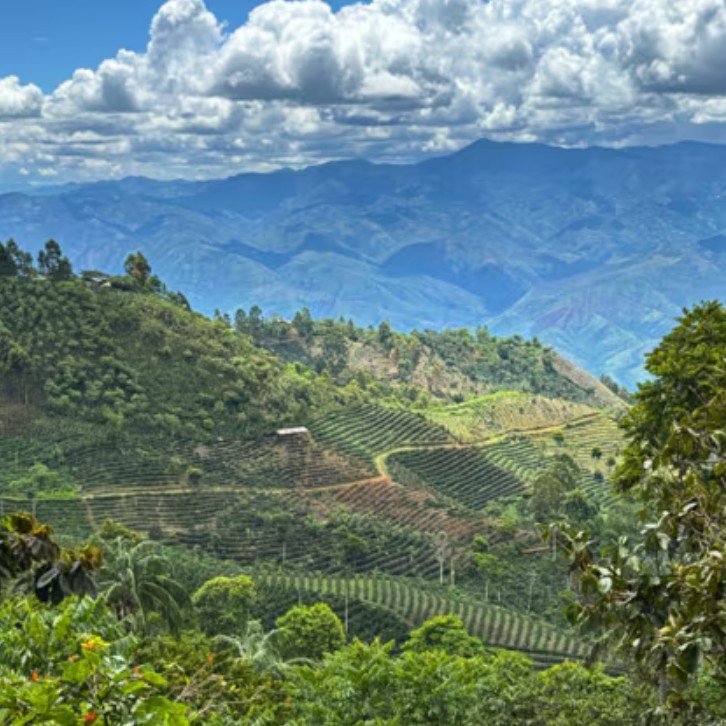 Peru San Jose.jpg