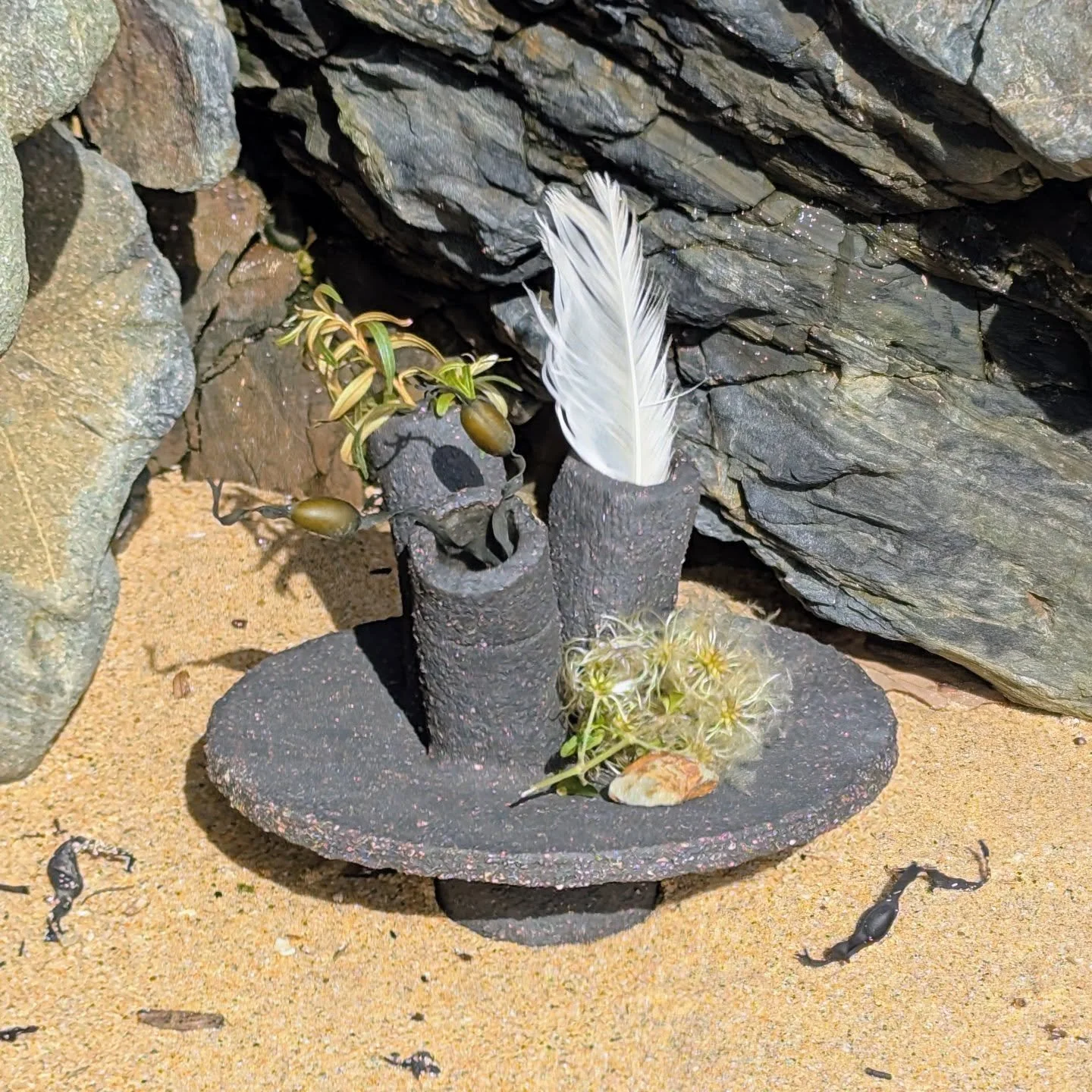Nature Table from the Habitats Collection. Treasures from a September beach walk.

#naturelovers #beachcombing  #ceramics 
#handmade