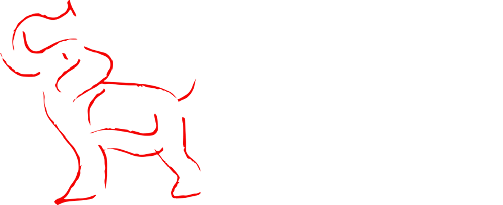 The Elephant Trail