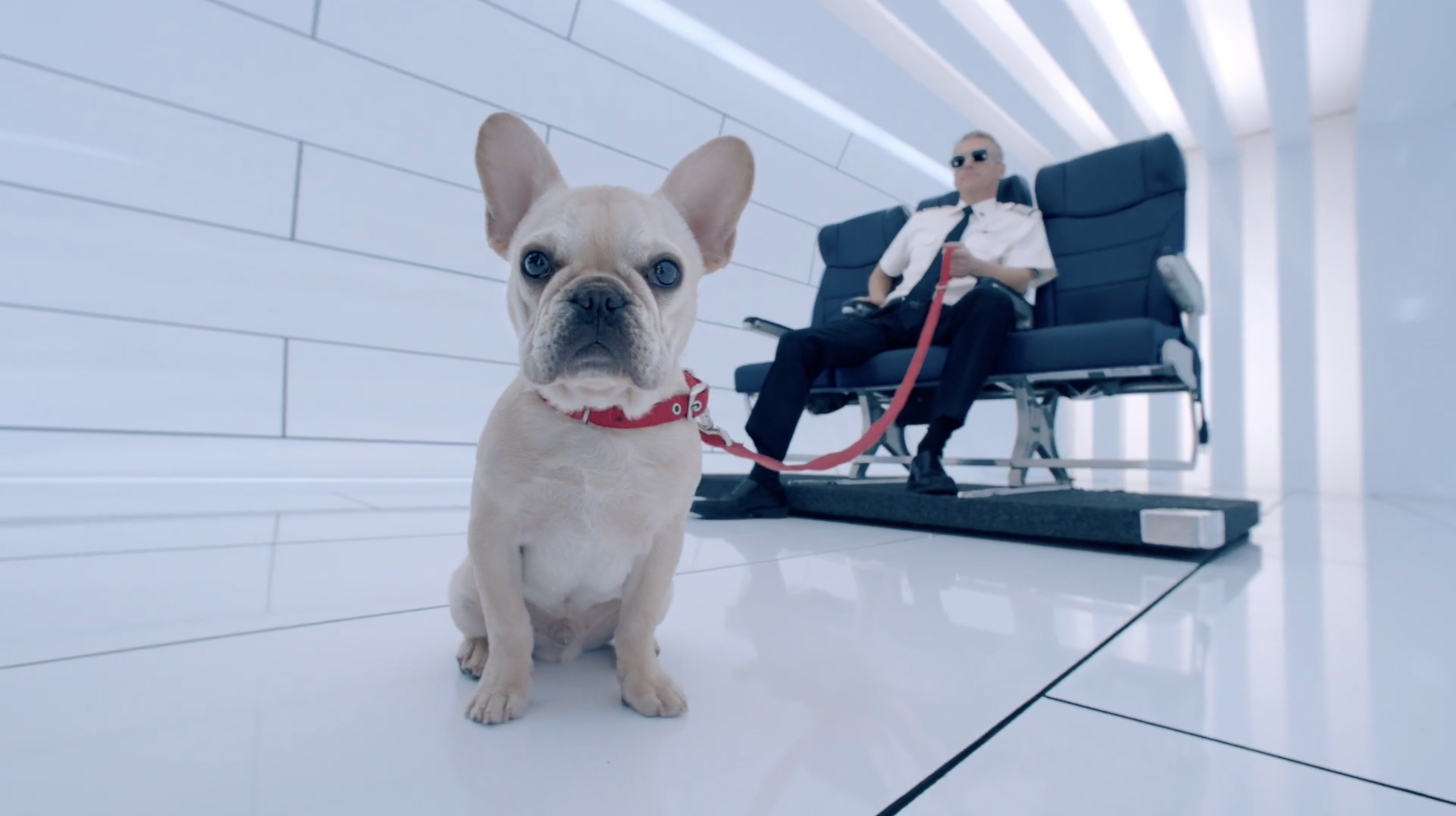 Screen Shot 2020-12-06 at 9.23.42 PM.png