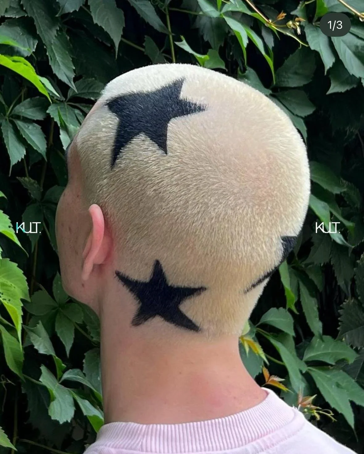 WhatsApp Image 2026-02-17 at 16.22.00.jpeg